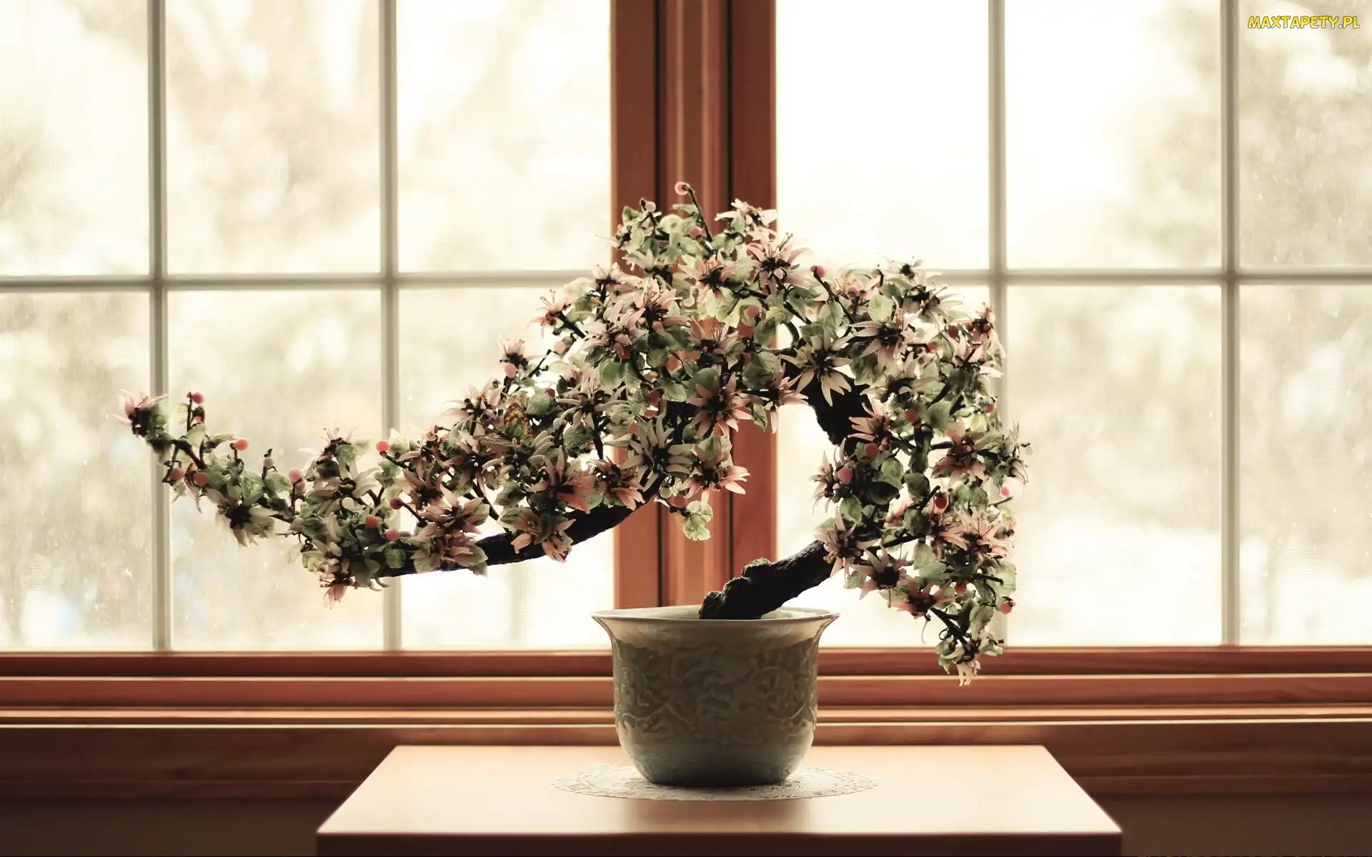 Okno, Doniczka, Drzewko, Bonsai