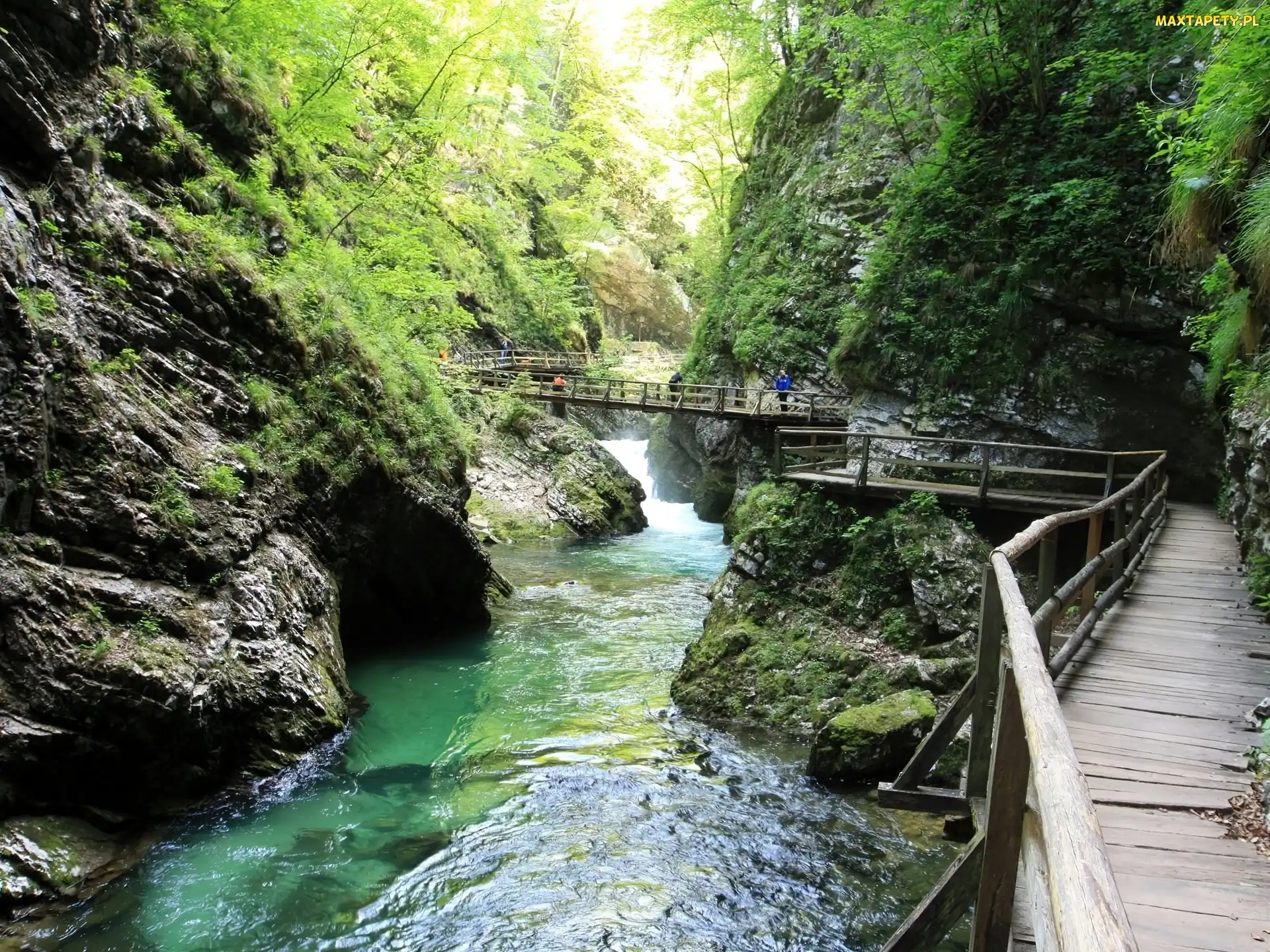 Las, Rzeczka, Skały