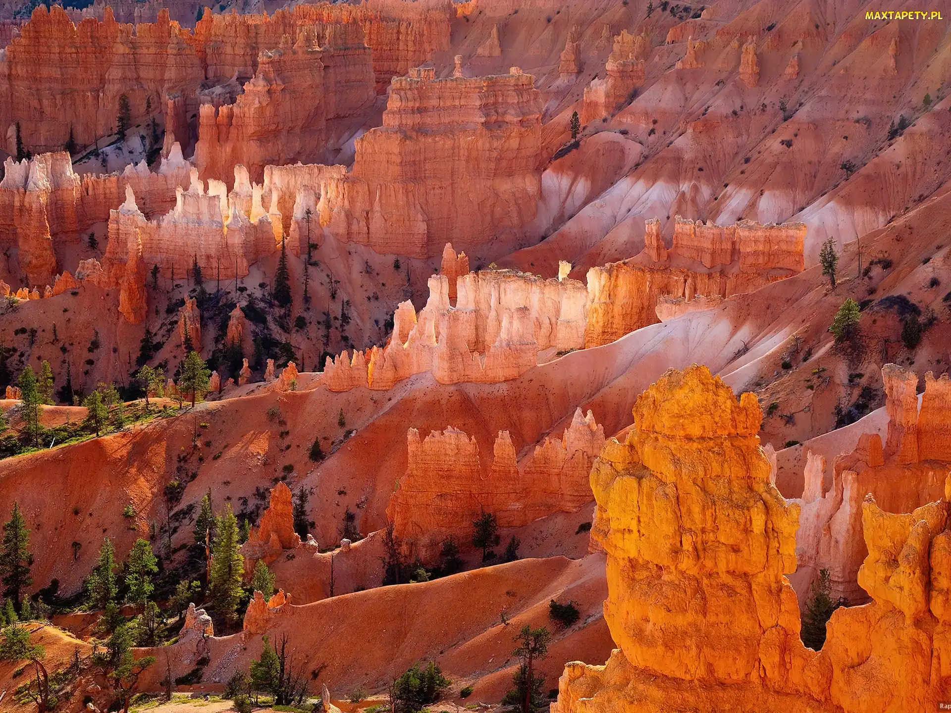 Utah, USA, Kanion