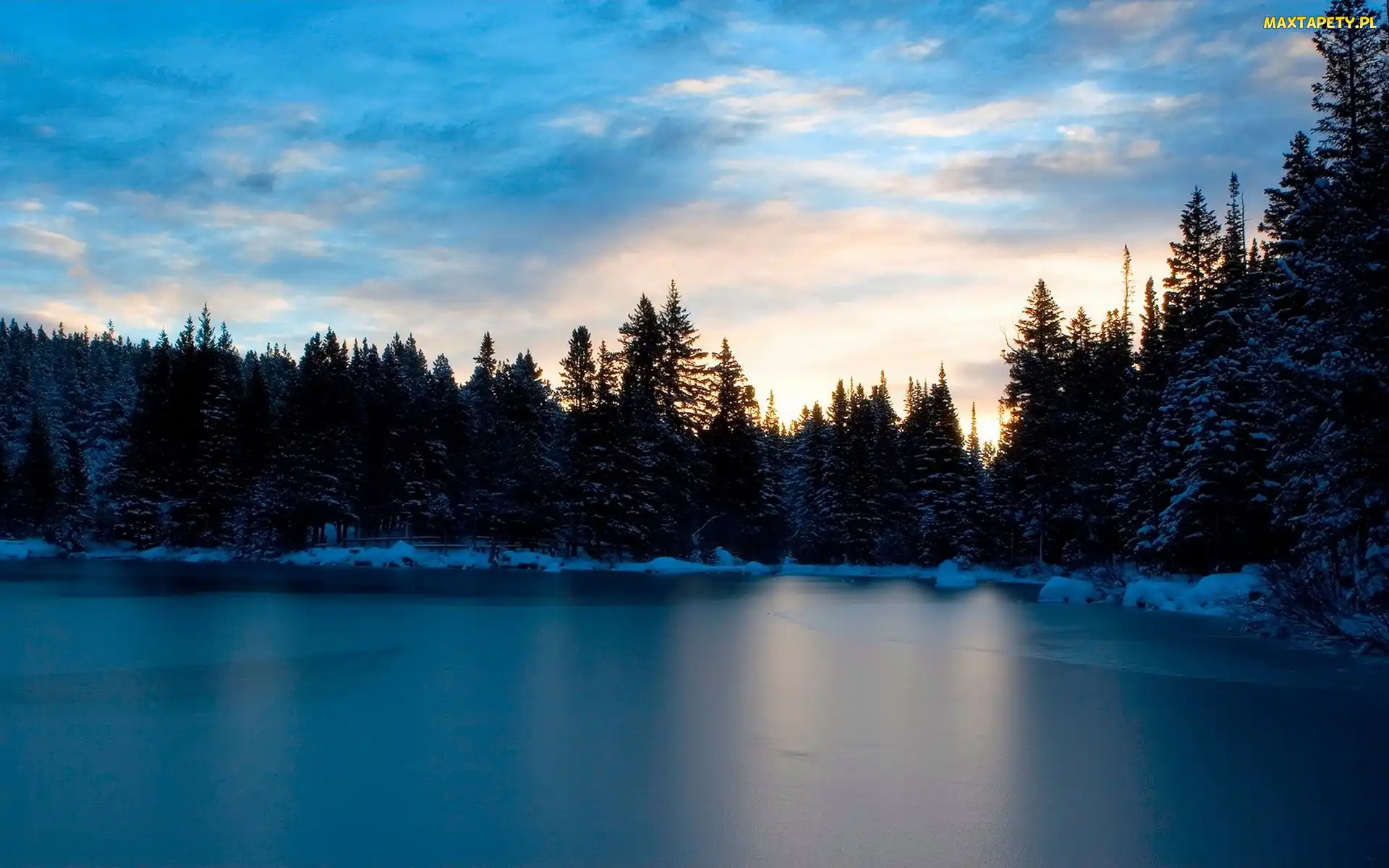 Las, Śnieg, Zamarznięte, Jezioro