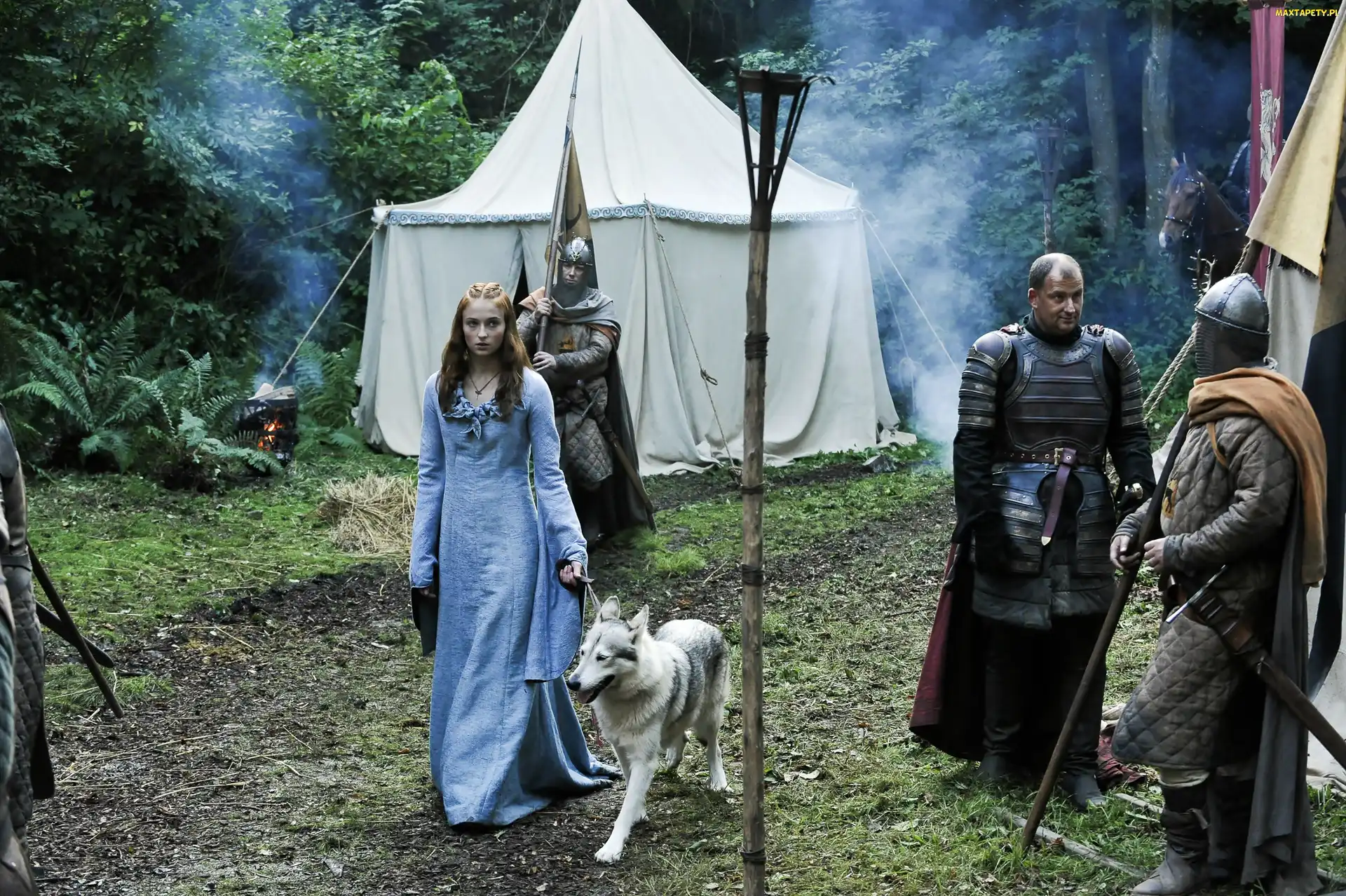 Game of Thrones, Gra o tron, Aktorka, Sophie Turner, Rycerze, Pies, Sansa Stark