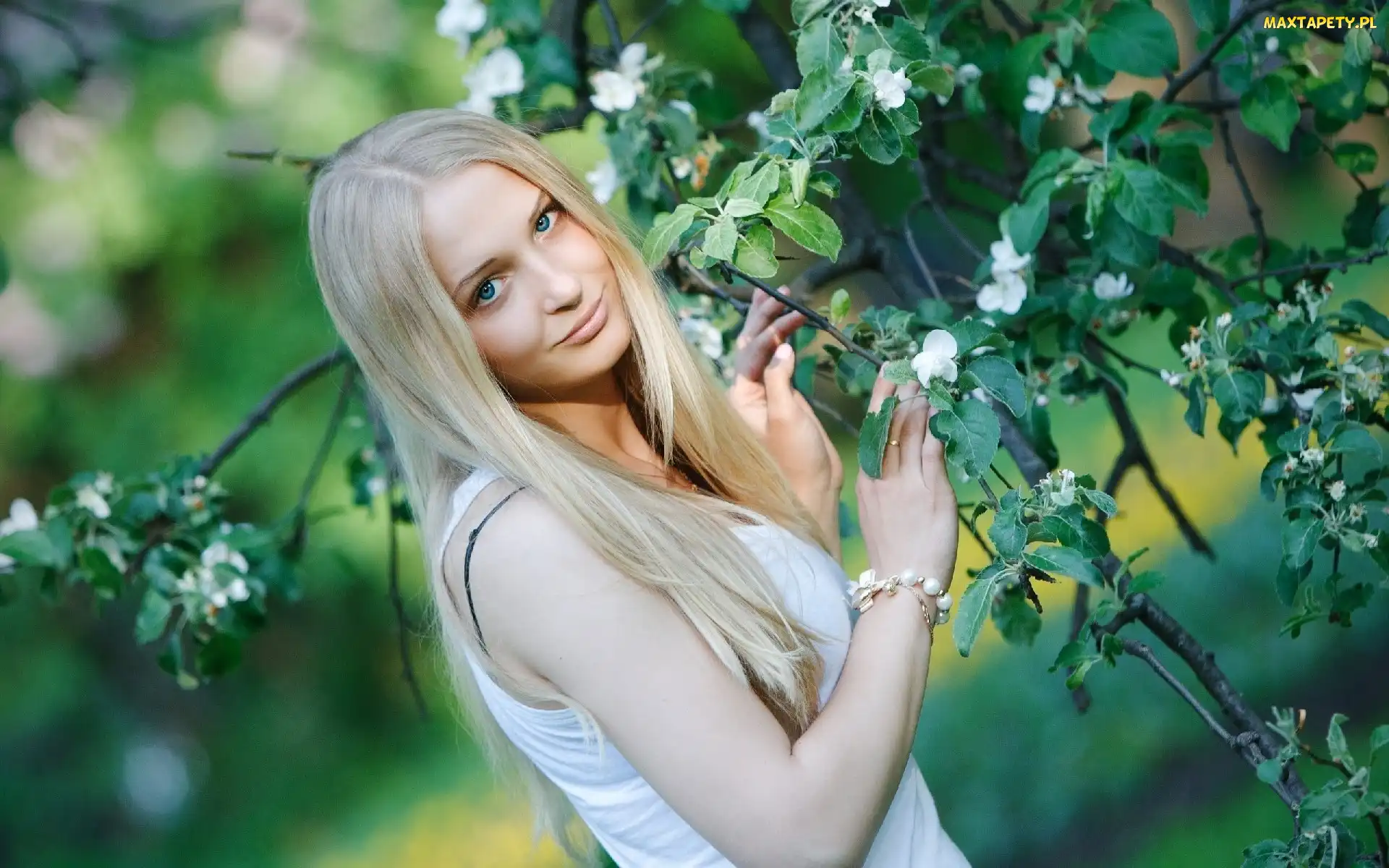 Gałązka, Kwitnąca, Urocza, Blondynka