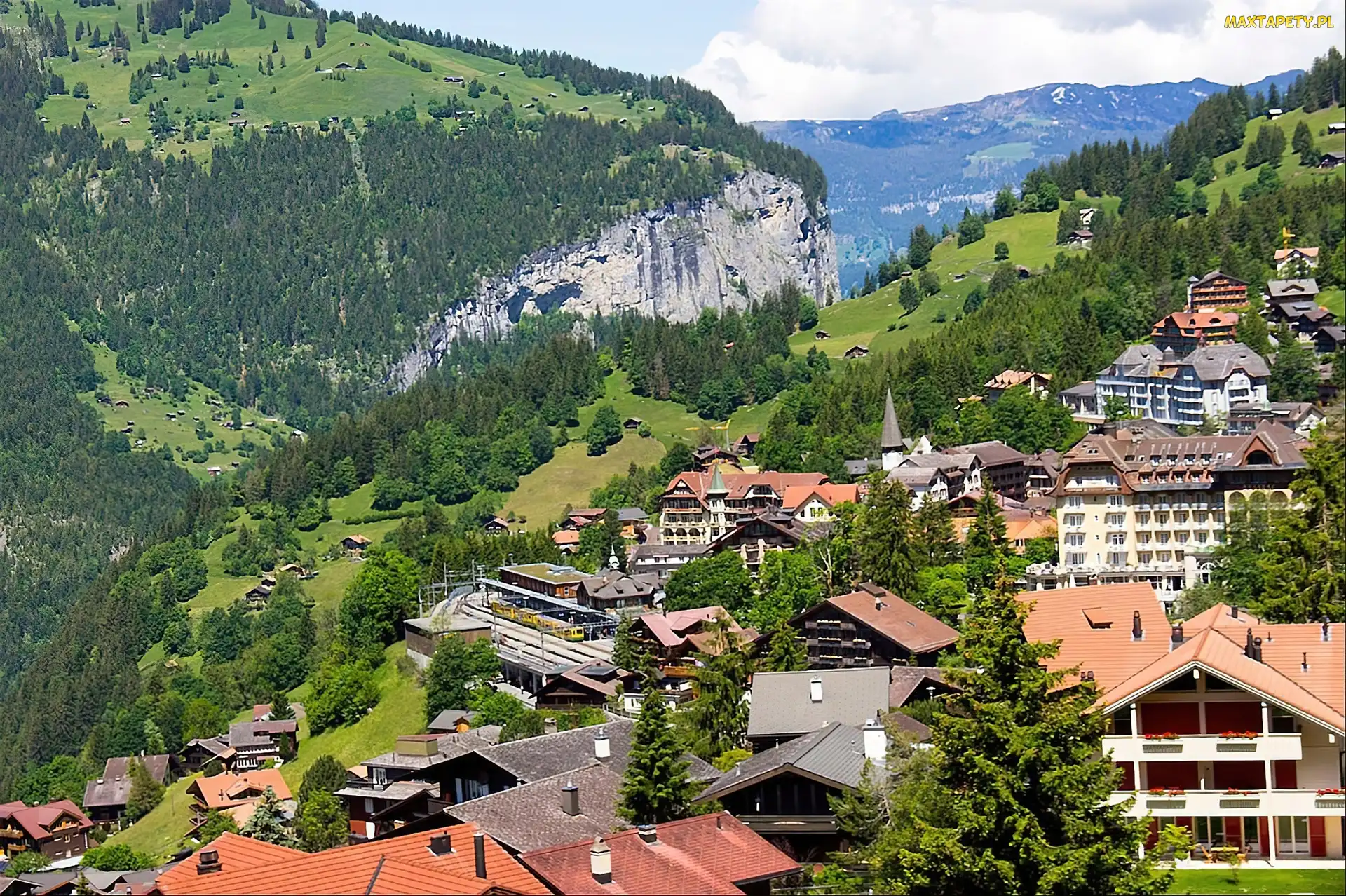 Domki, Las, Góry