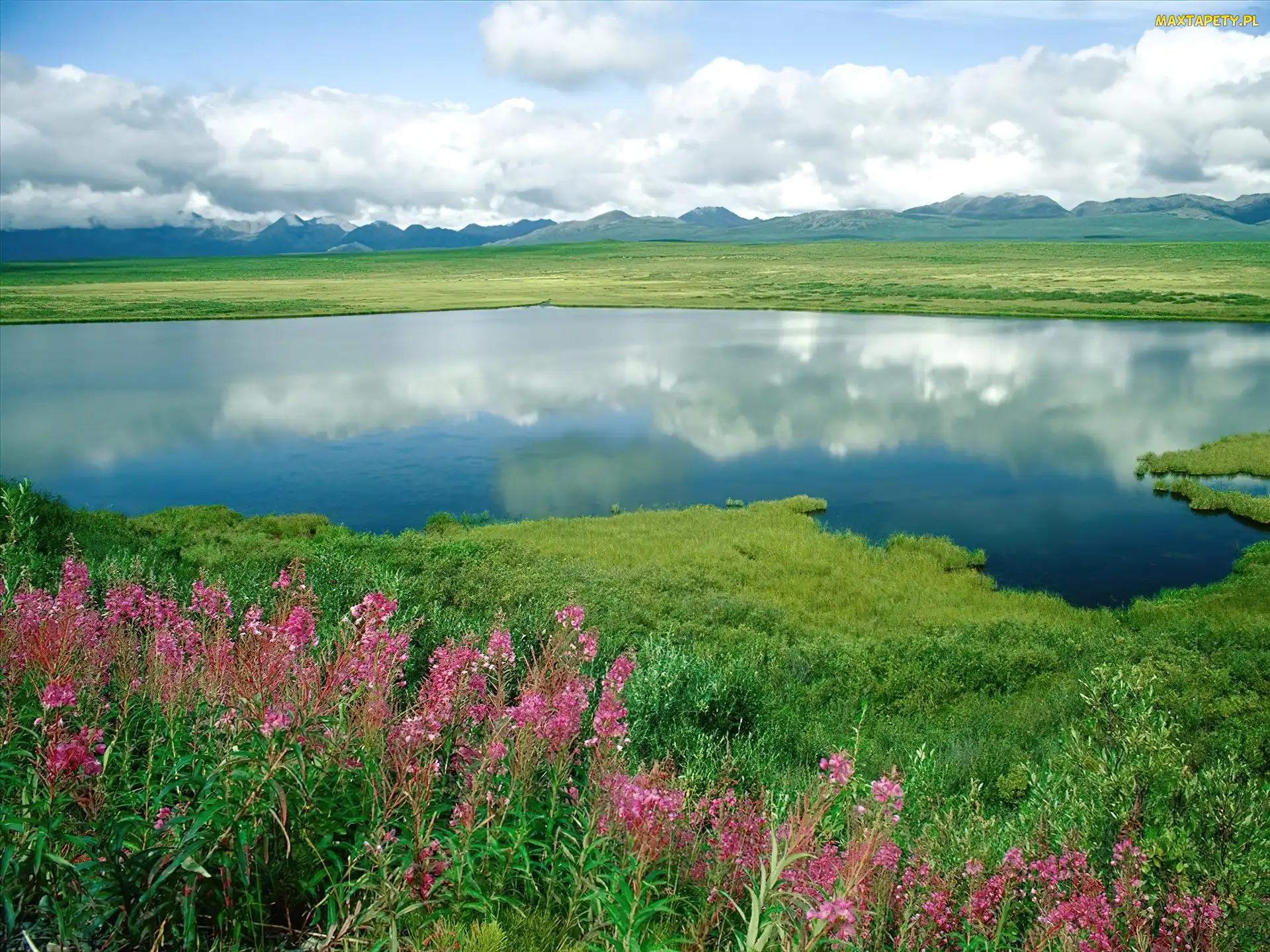 Woda, Góry, Kwiaty, Trawa, Alaska