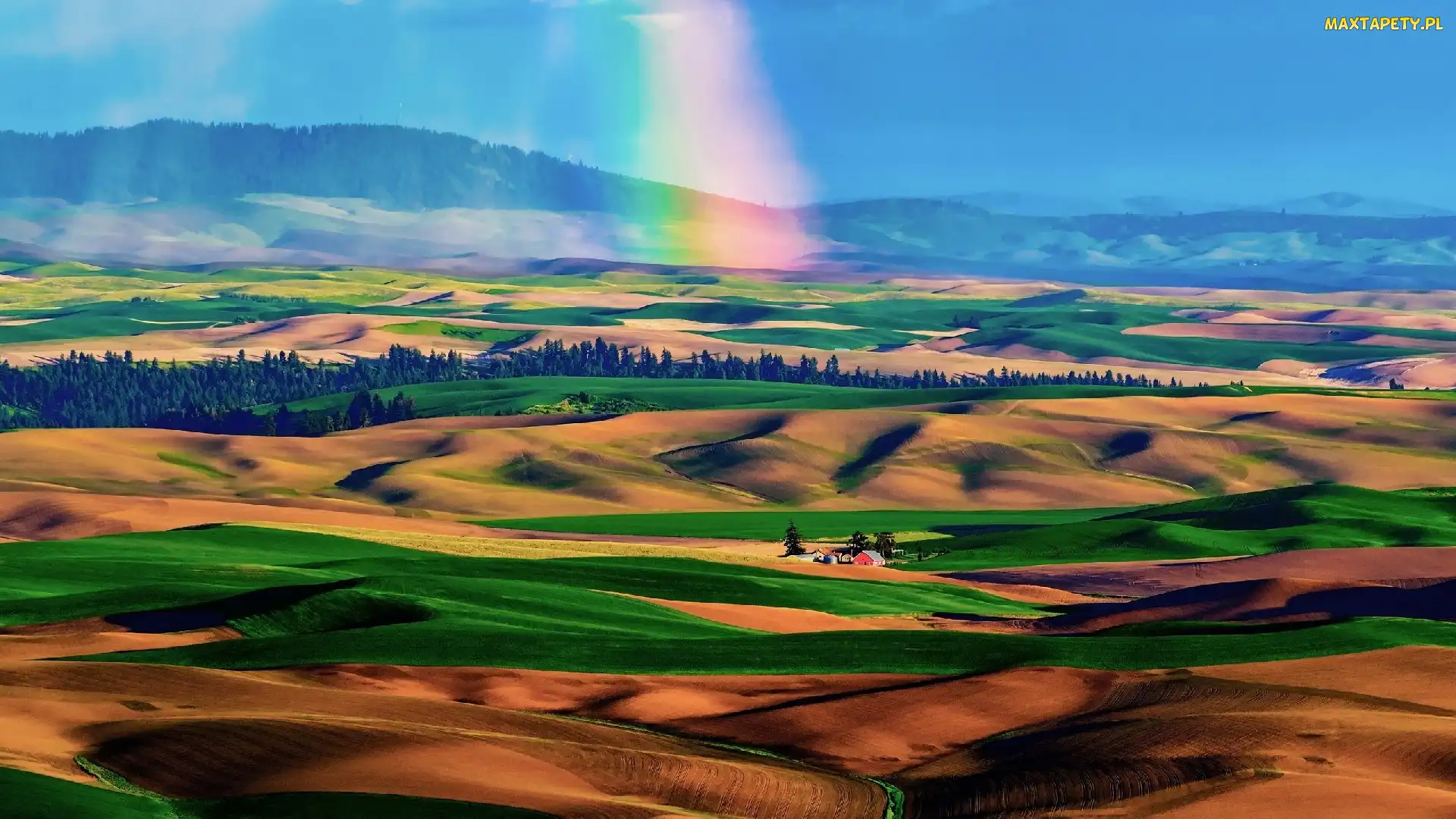 Doliny, Palouse, Tęcza, Drzewa, Góry