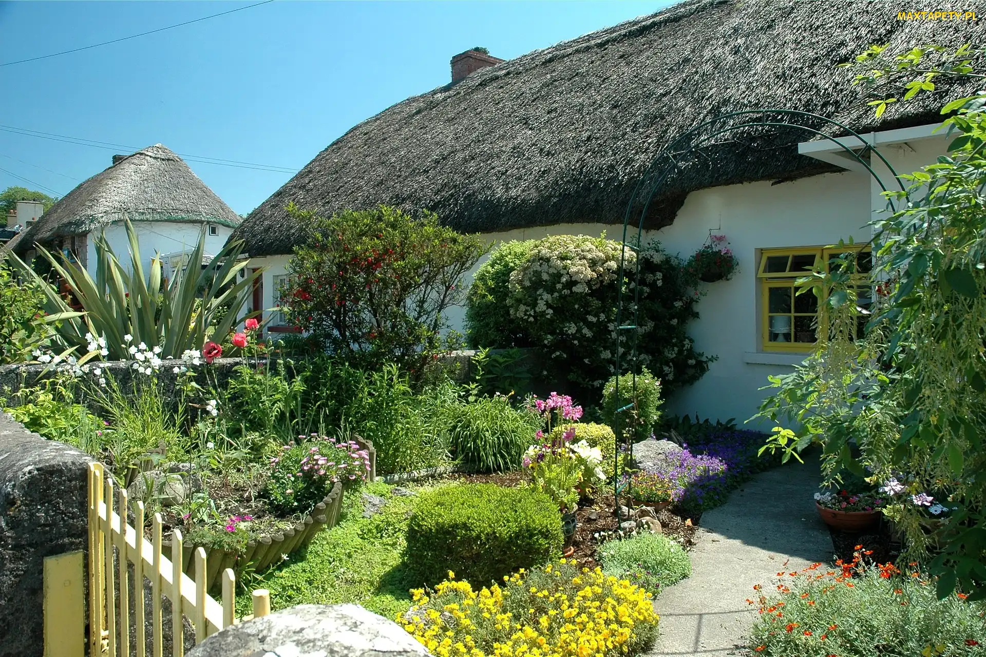 Irlandia, Kwiaty, Dom