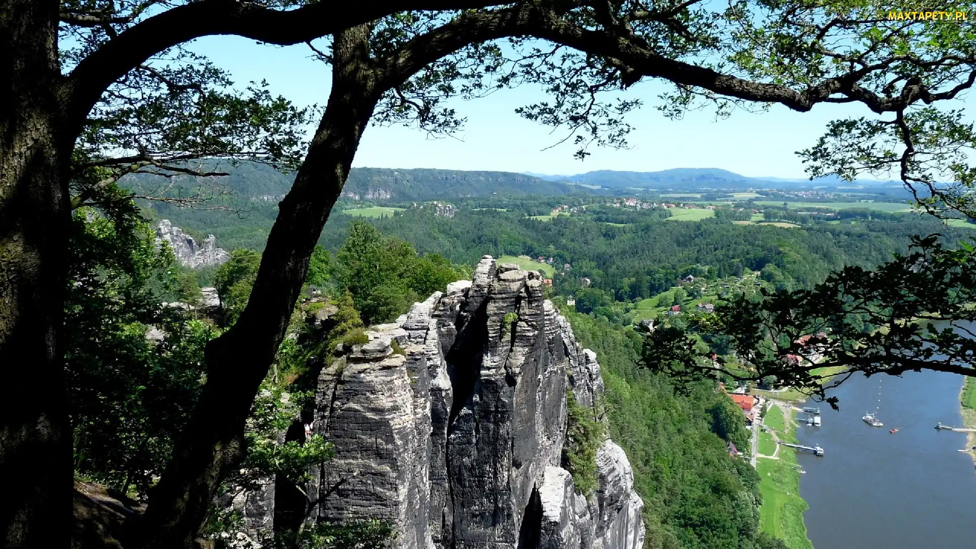 Skały, Rzeka, Drzewo
