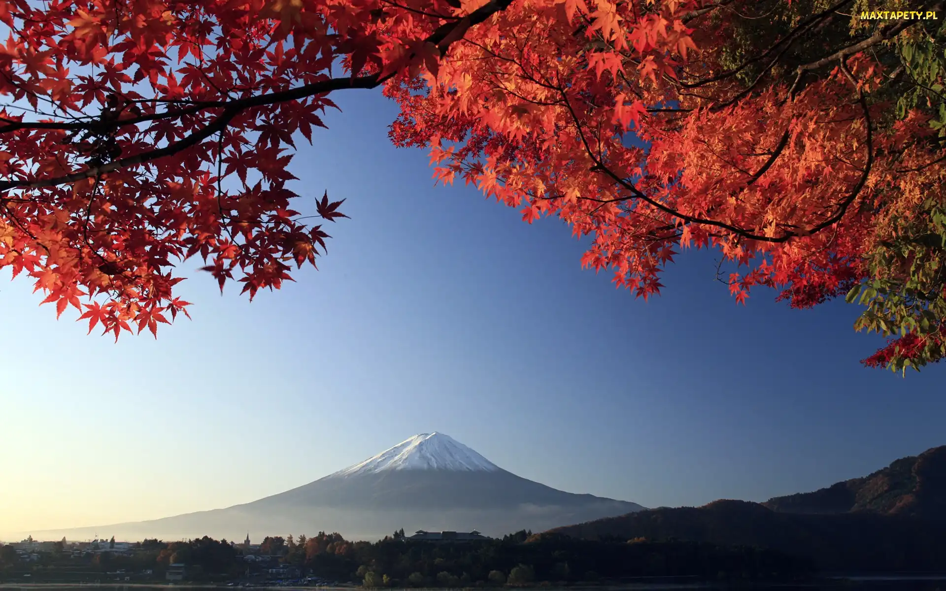 Japonia, Góra, Liście, Fuji, Czerwone, Mount