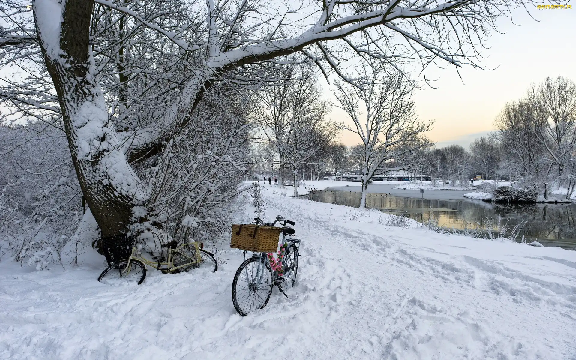 Rowery, Rzeka, Park, Śnieg