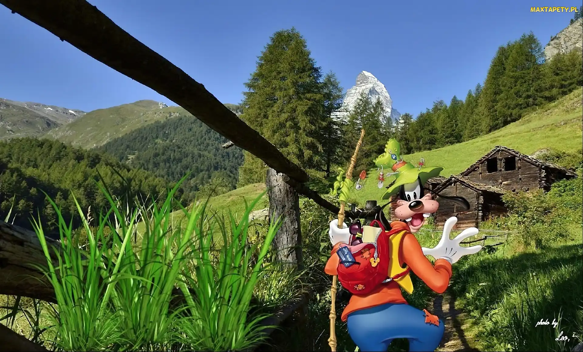 Góry, Goofy, Chata, Łąka