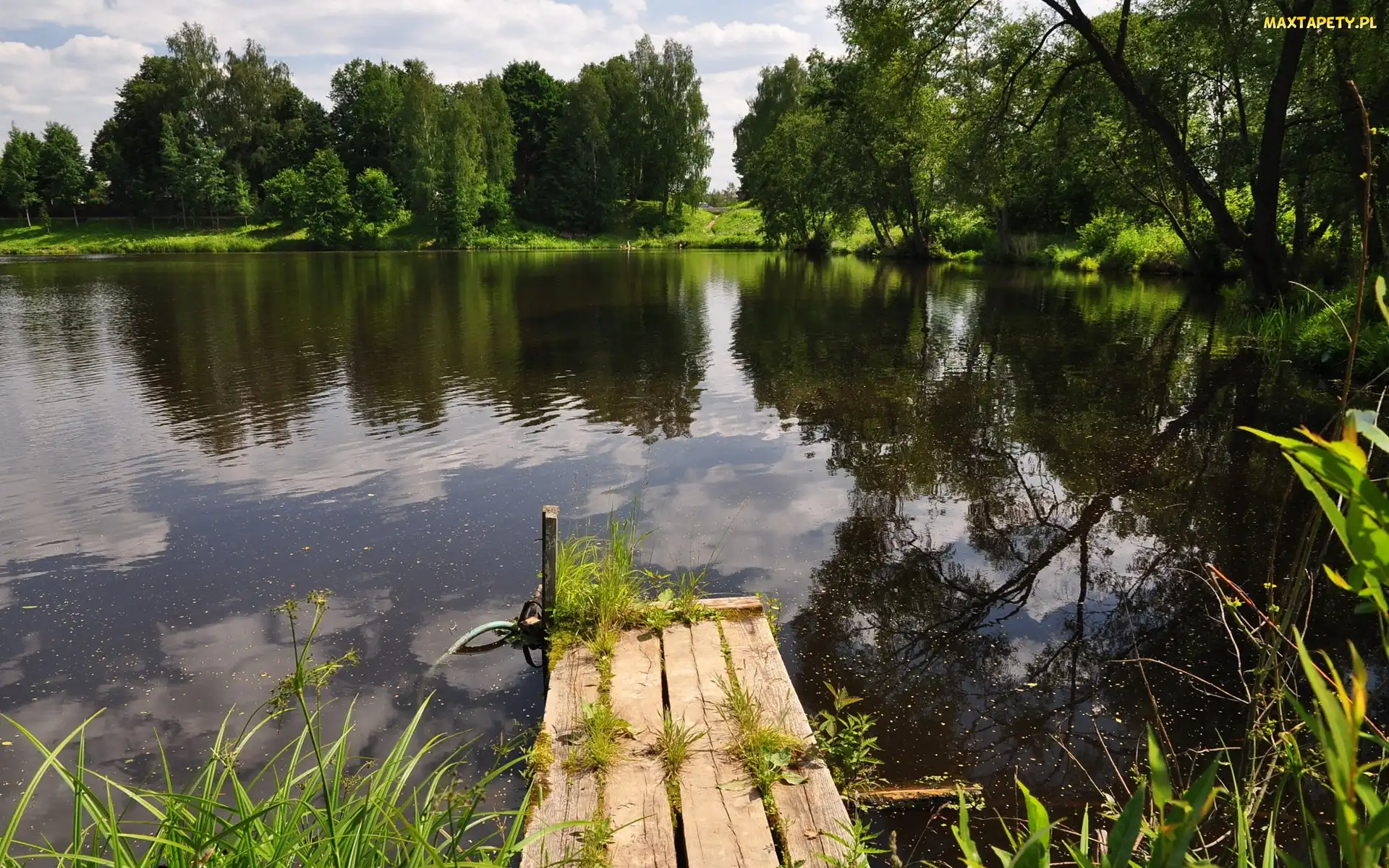 Kładka, Drzewa, Jezioro
