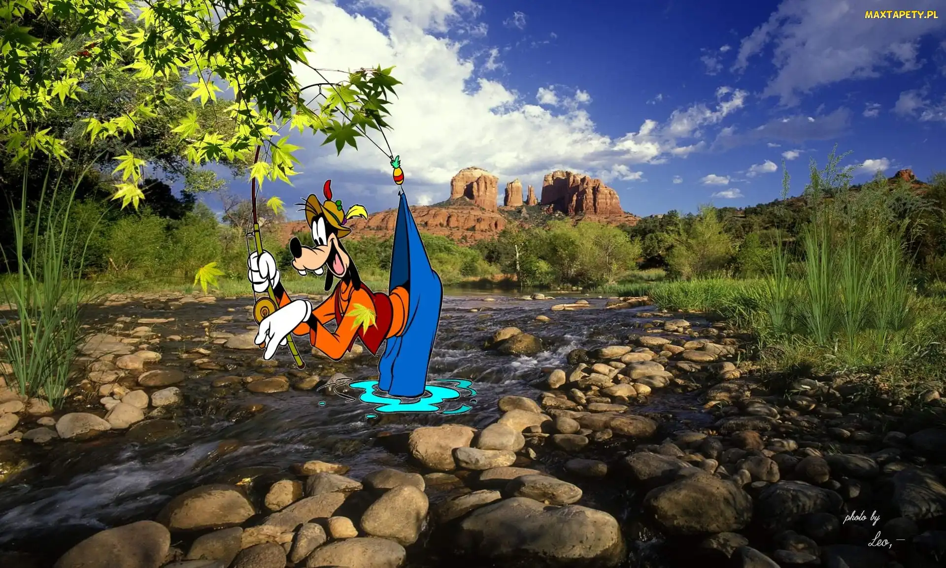 Strumyk, Goofy, Kamienie