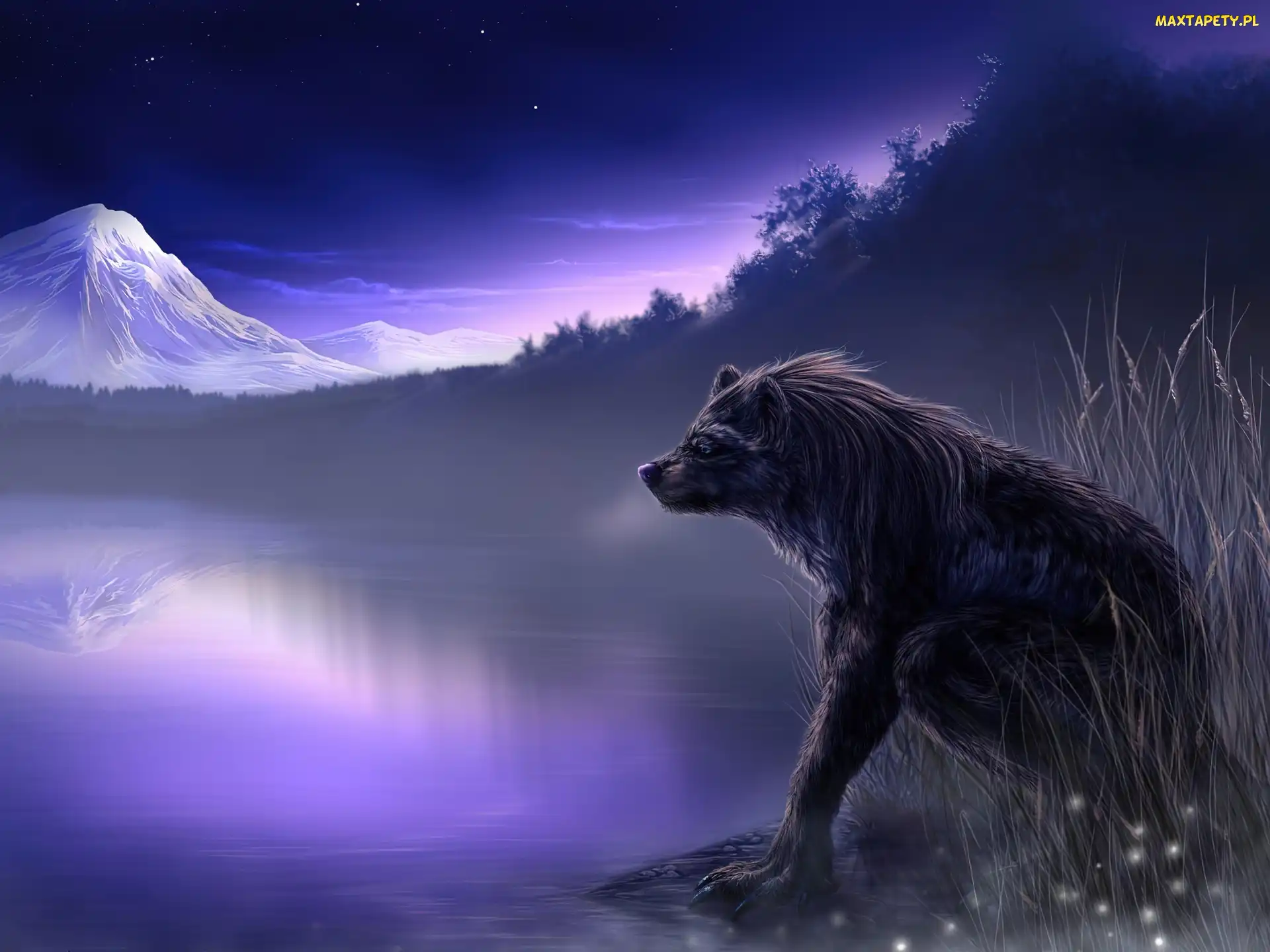 Woda, Fantasy, Noc, Góra, Stwór