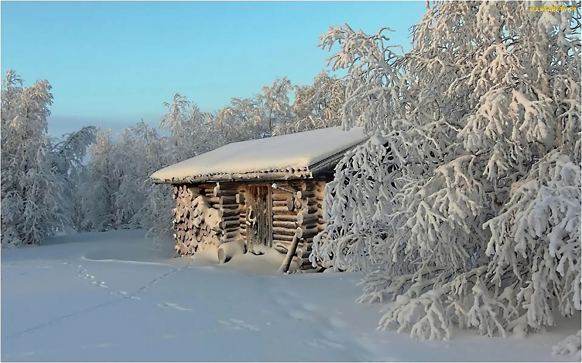 Zima, Drzewa, Ośnieżone, Domek, Piękna