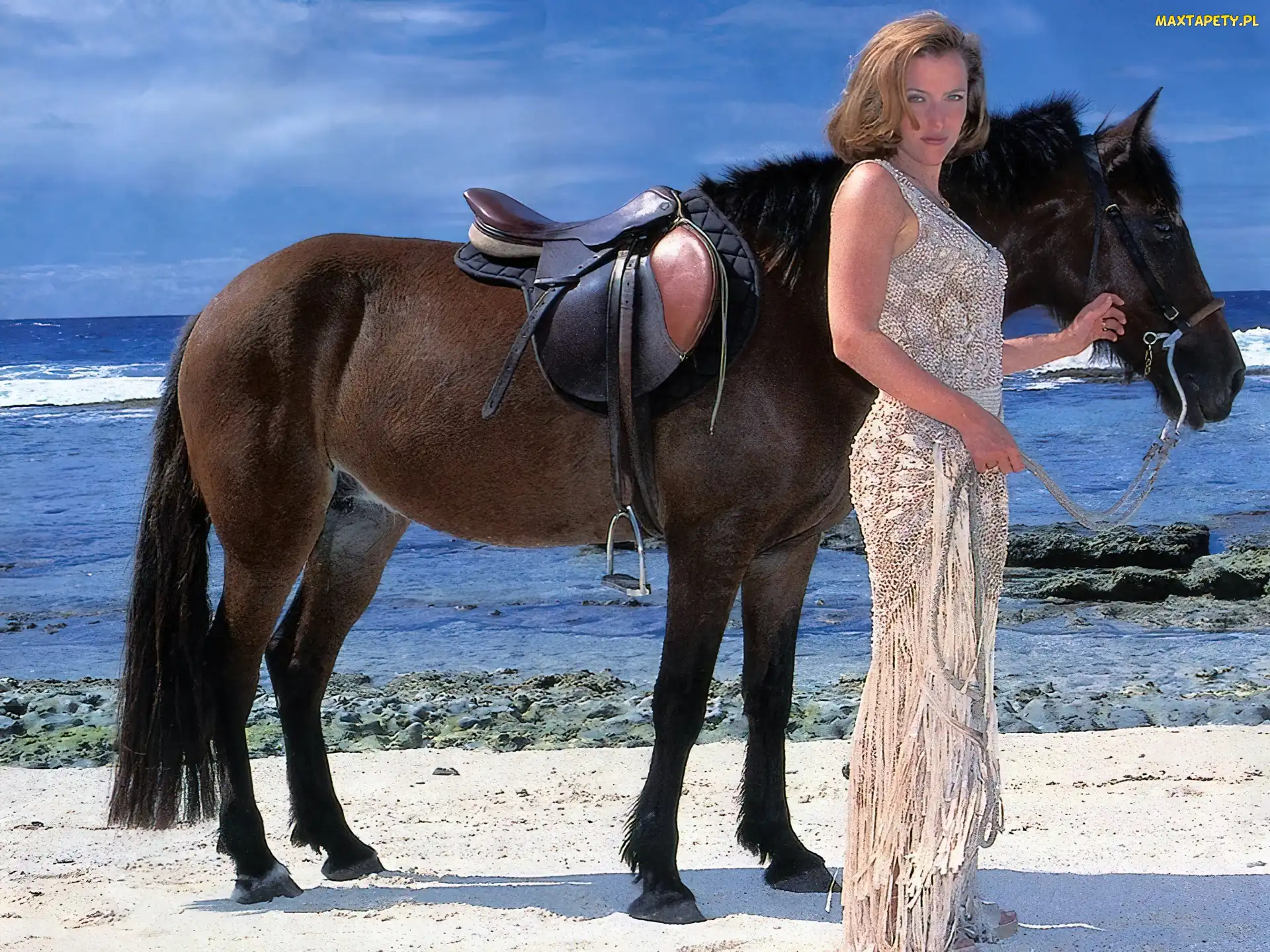 Koń, Plaża, Gillian Anderson