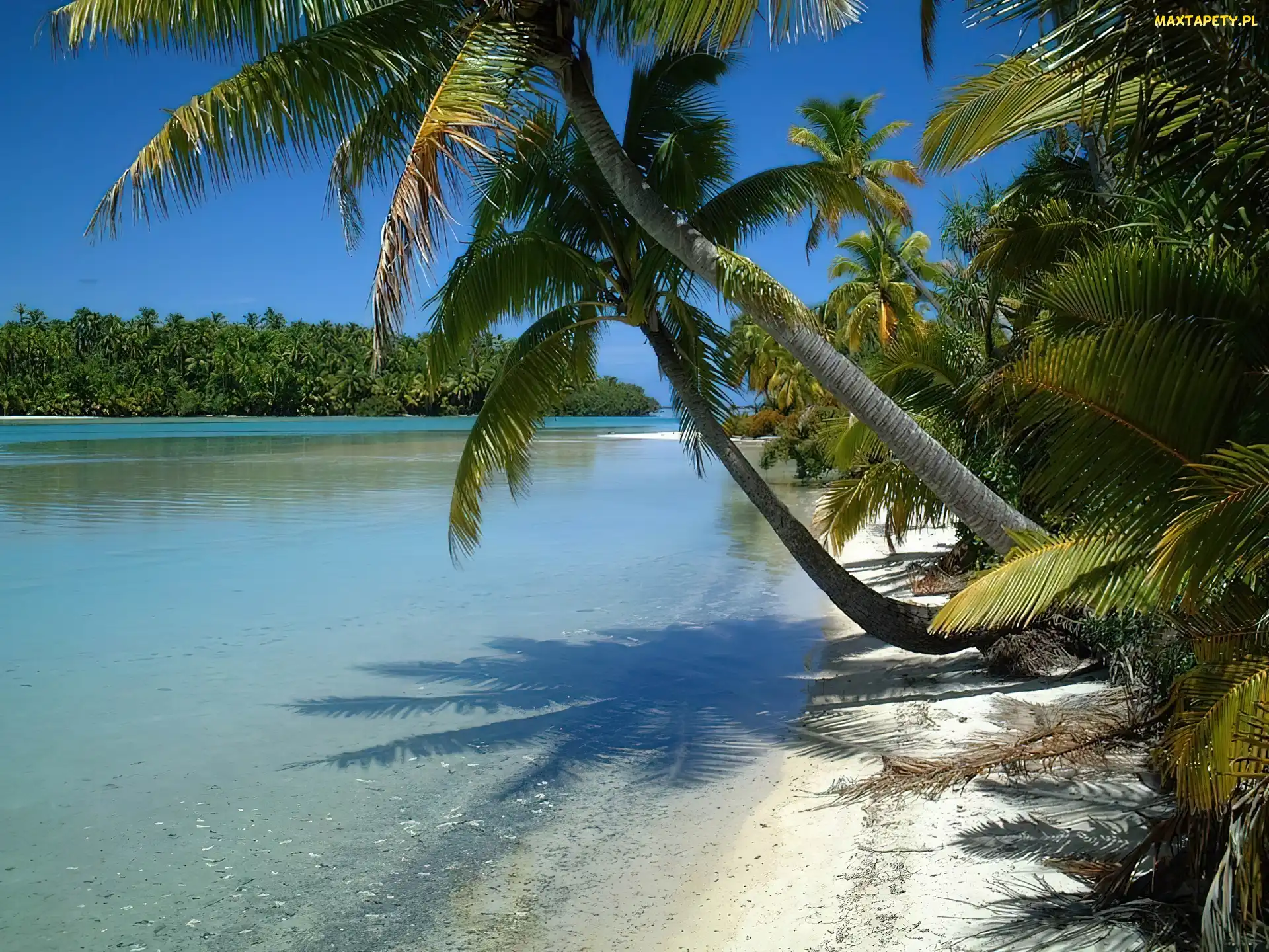 Wyspy Cooka, Nowa Zelandia, Palmy, Woda, Aitutaki