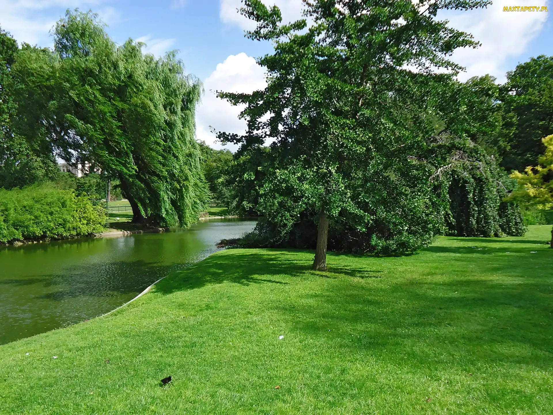 Rzeka, Zieleń, Park