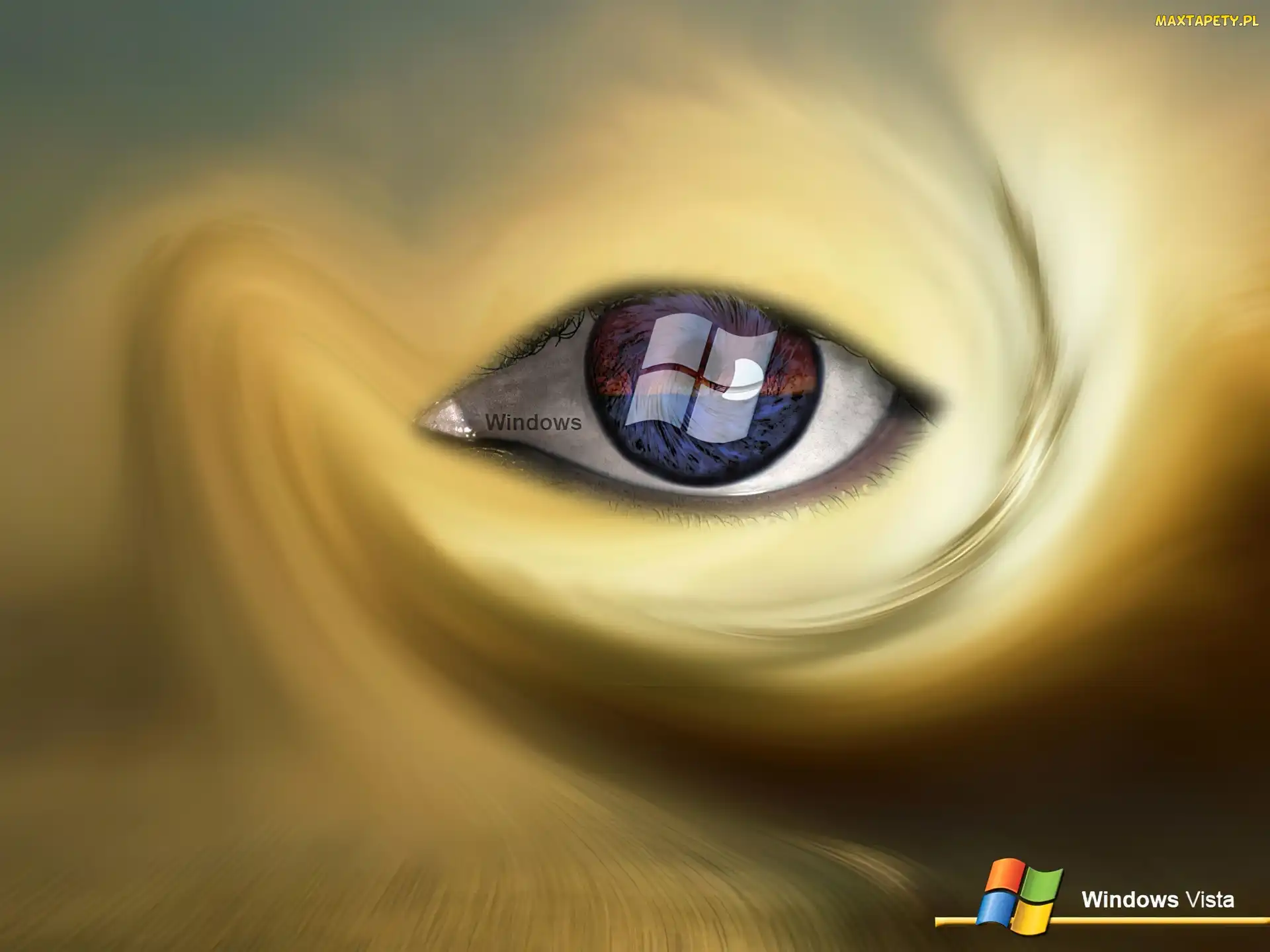 Vista, Oko, Windows
