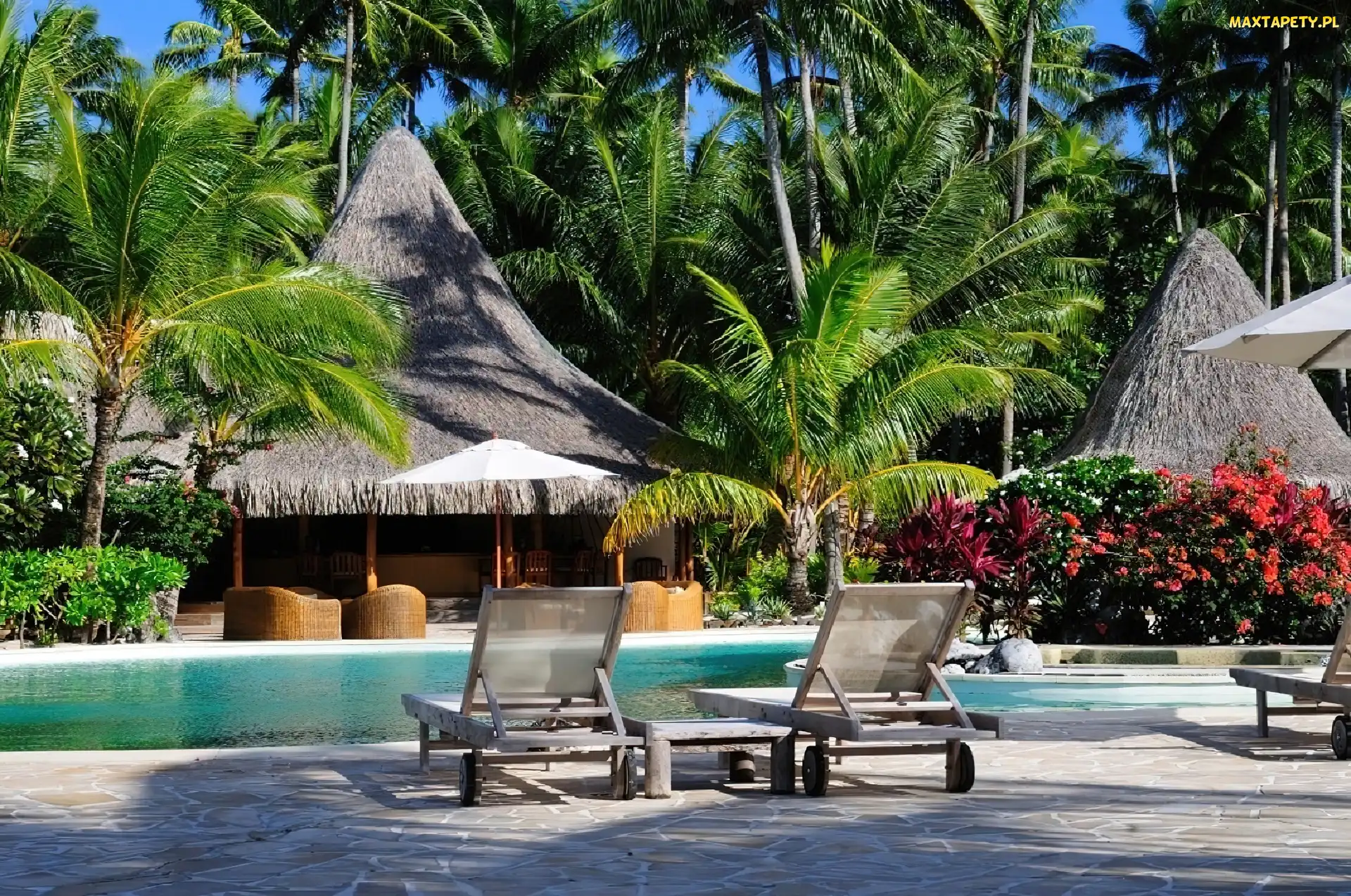 Hotel, Palmy, Bora Bora