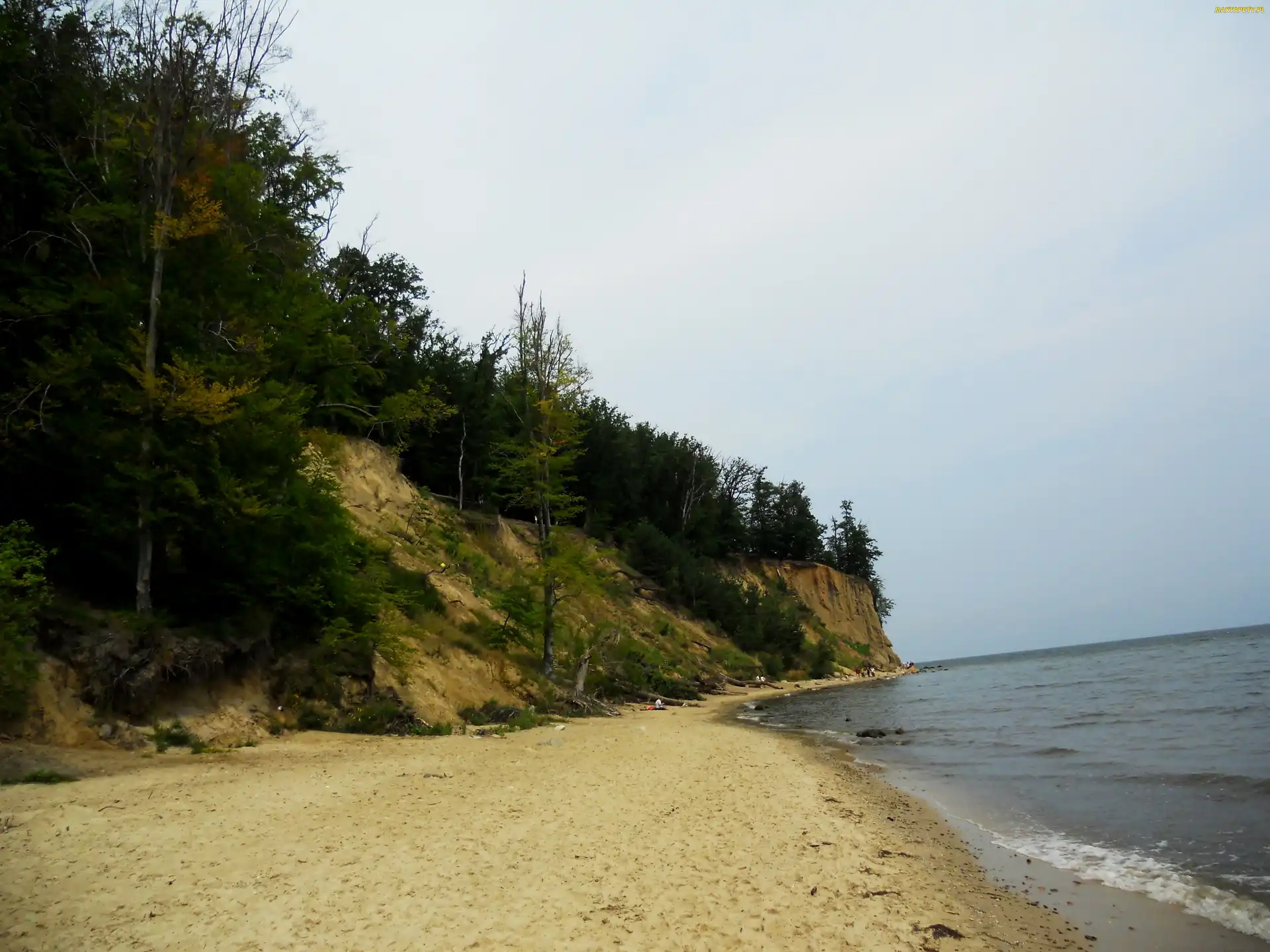 Plaża, Klif, Gdynia, Orłowo