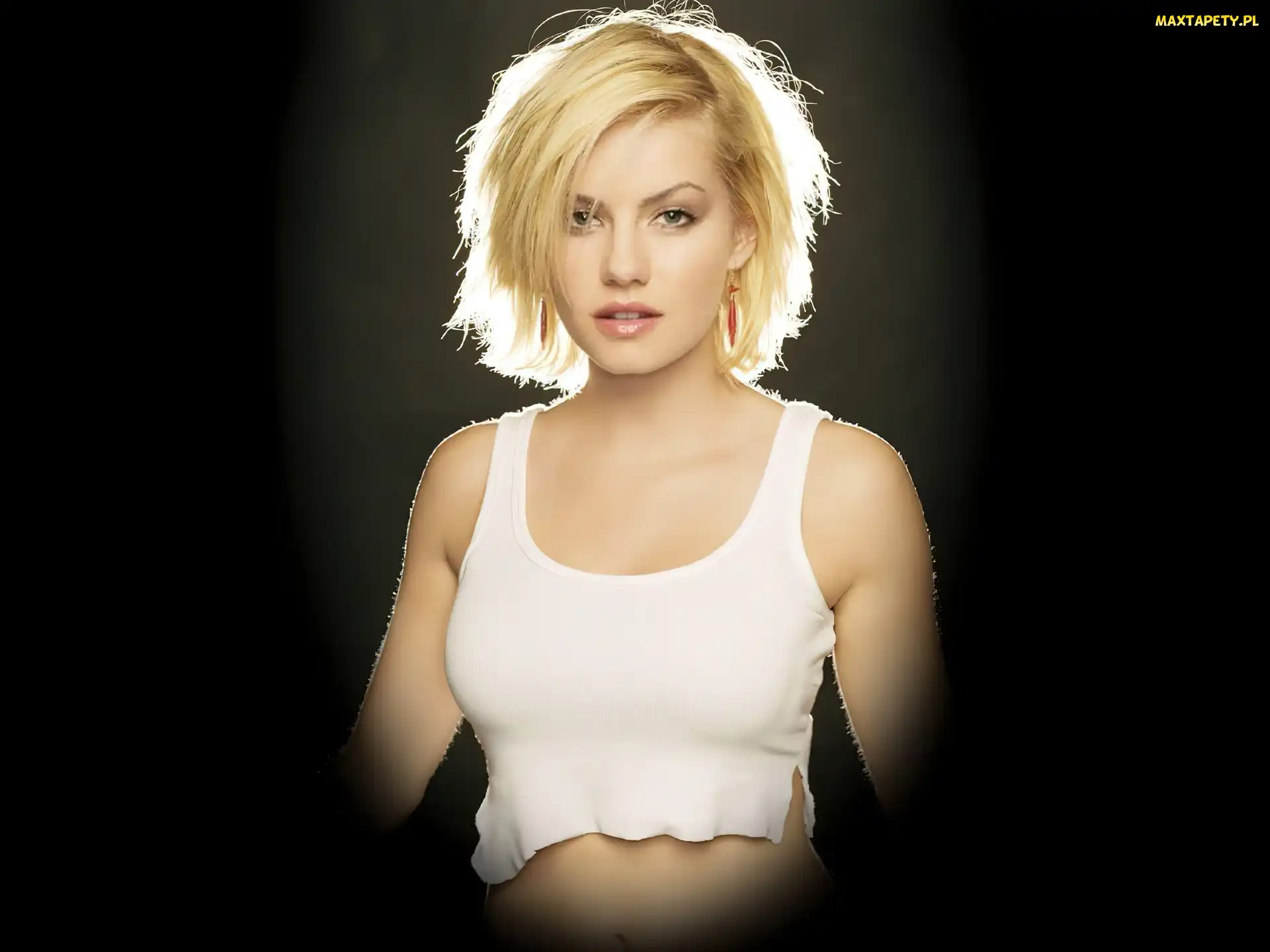 Elisha Cuthbert