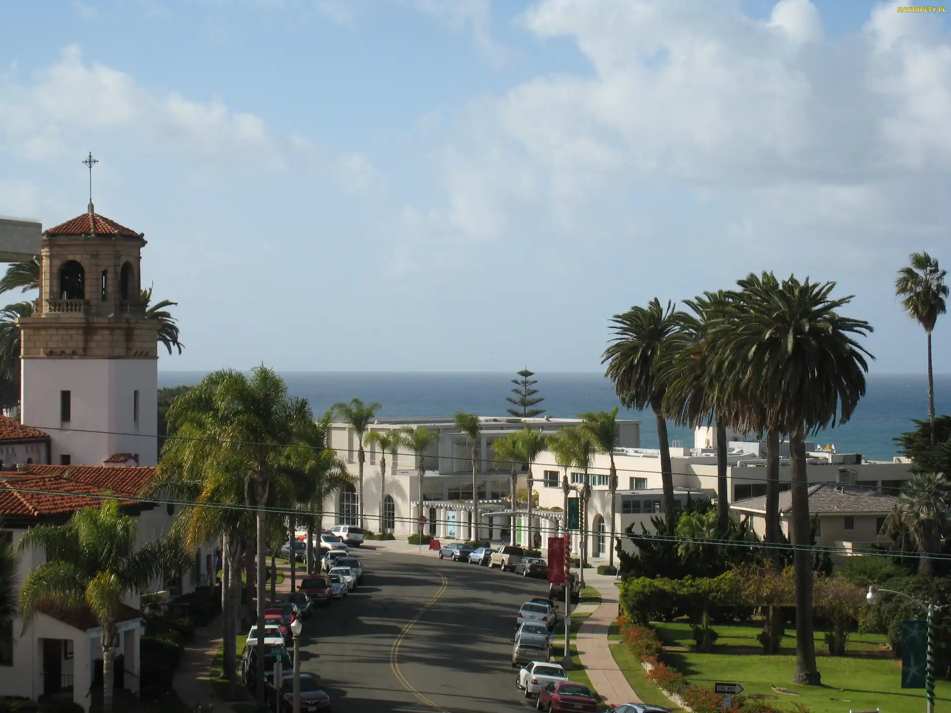 San Diego, Budynki, Palmy, Ulica, La Jolla