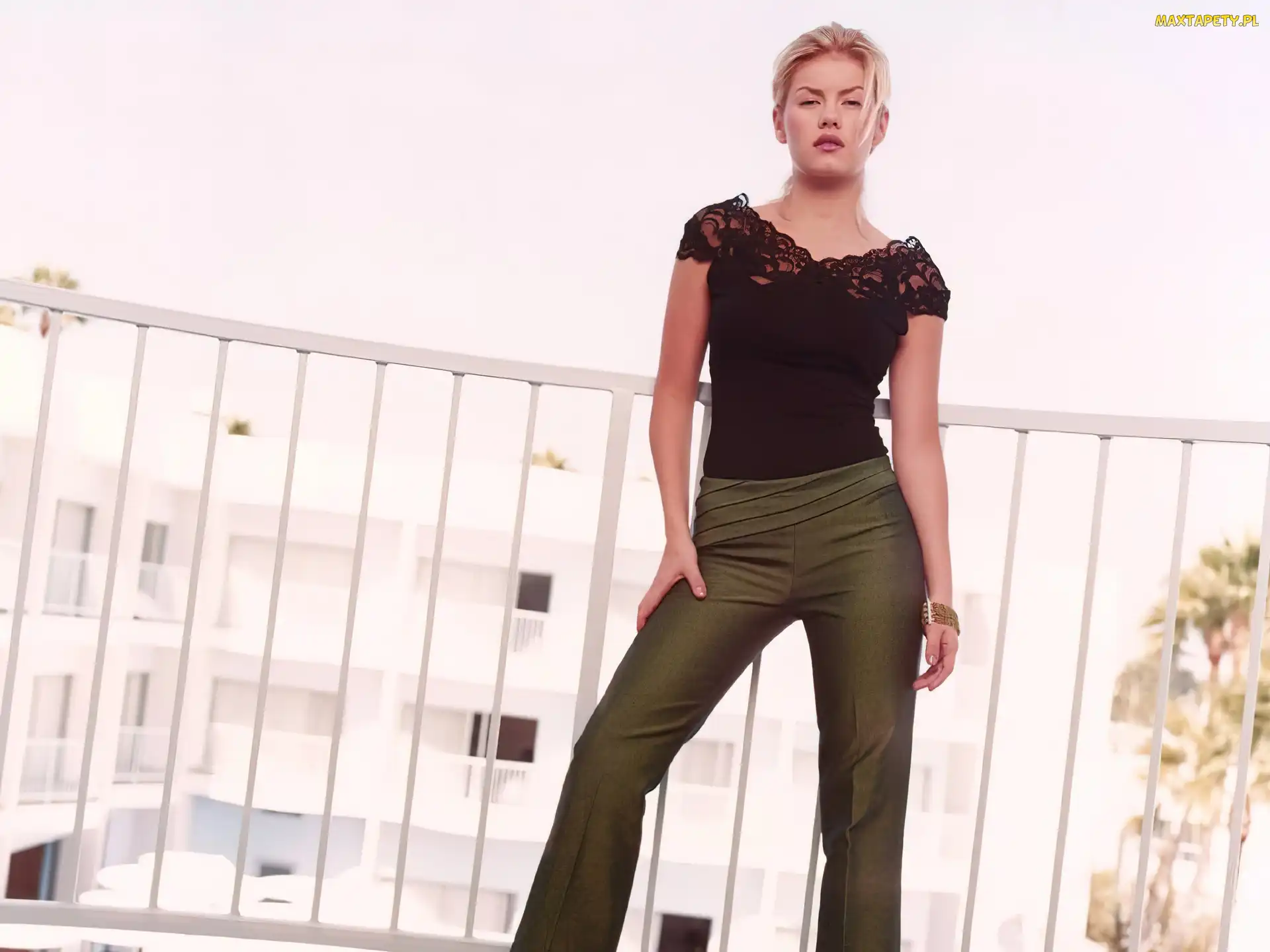 Elisha Cuthbert