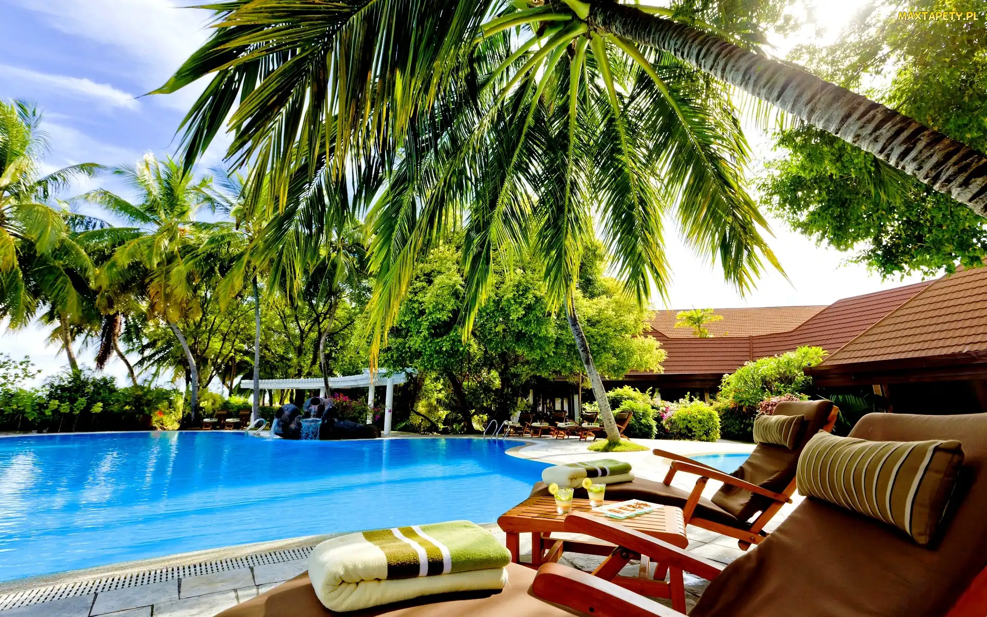 Palmy, Basen, Malezja, Hotel