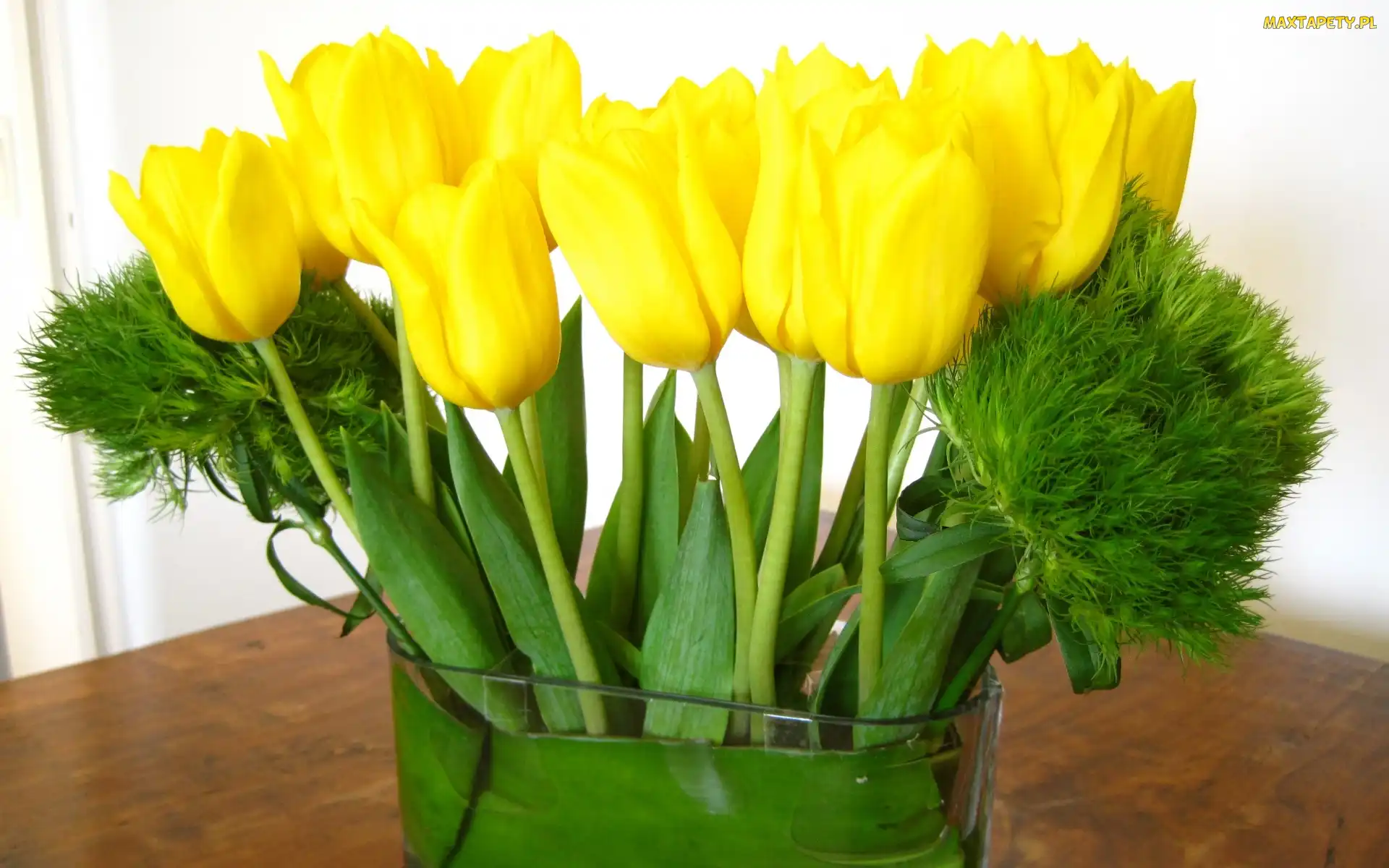 Żółte, Bukiet, Tulipany