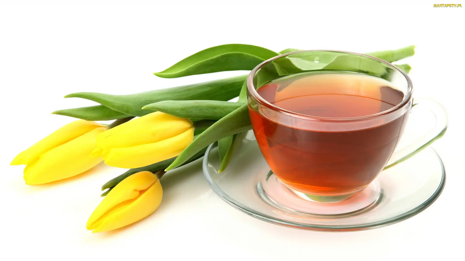 Tulipany, Herbatka, Żółte