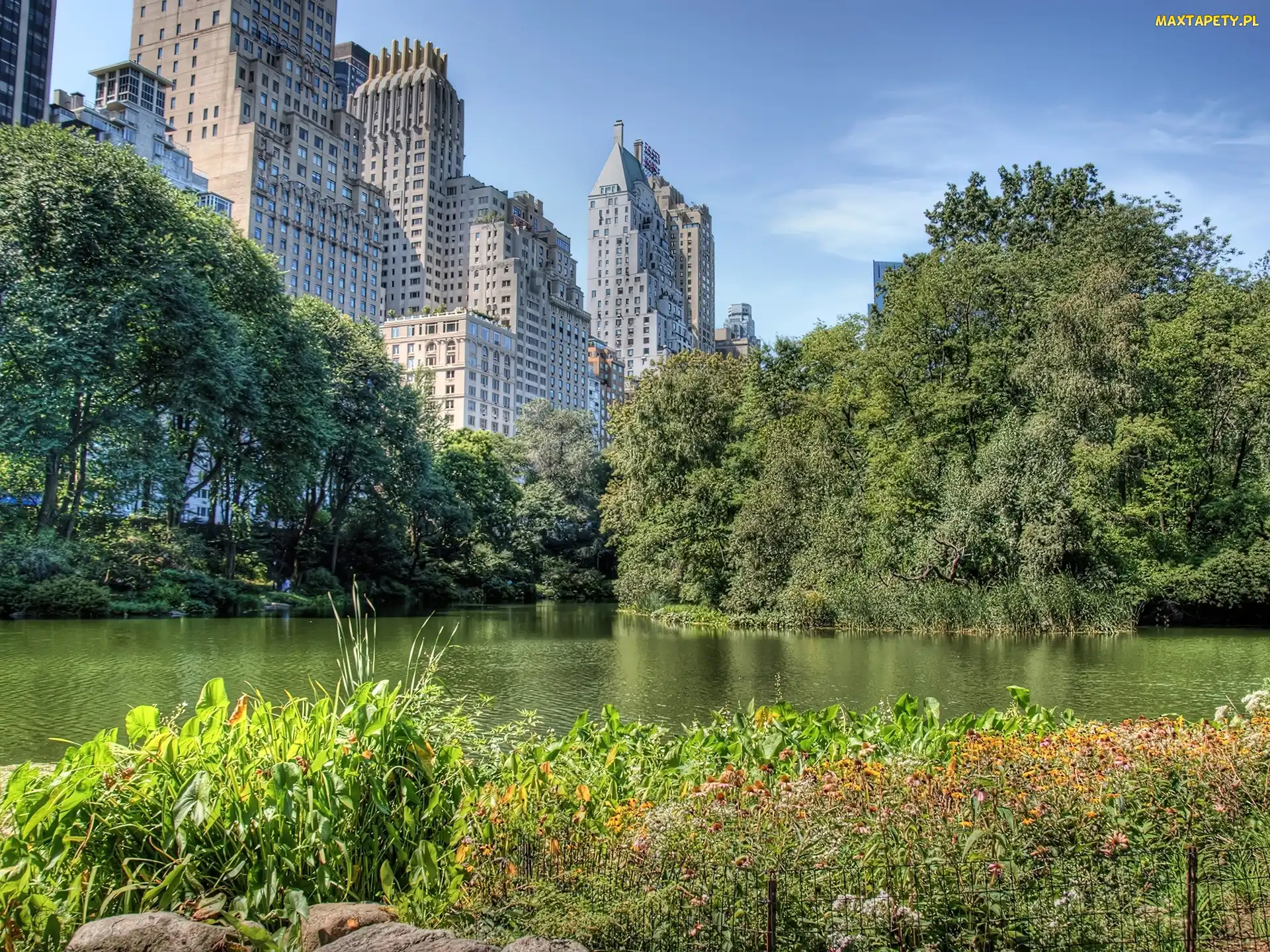 Rzeka, Wieżowce, Central Park, Nowy Jork