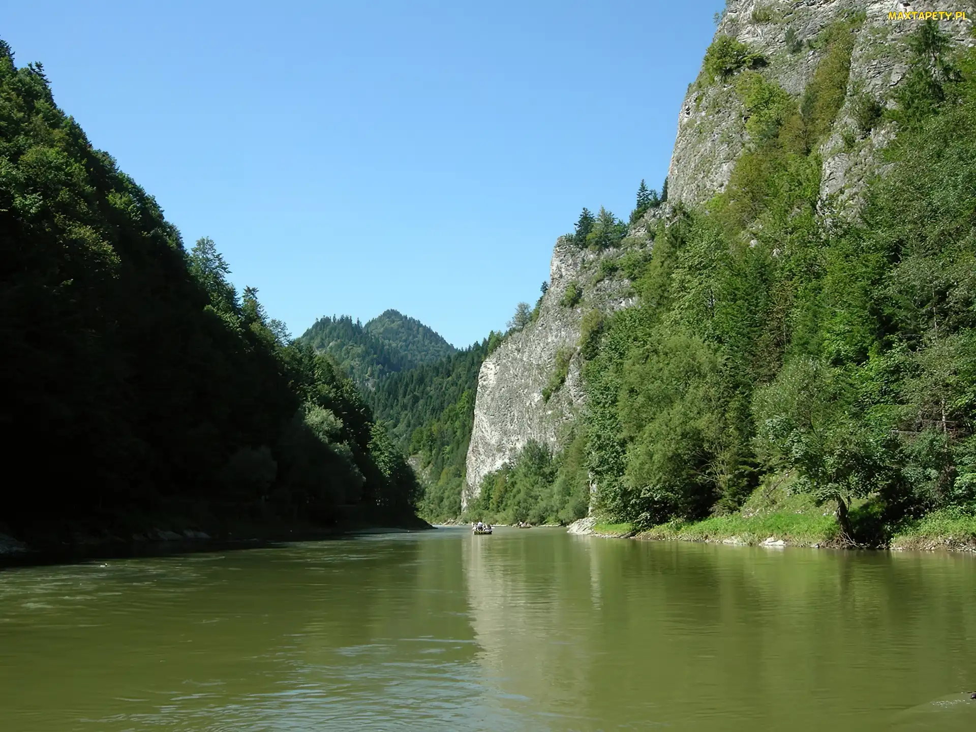 Góry, Drzewa, Dunajec