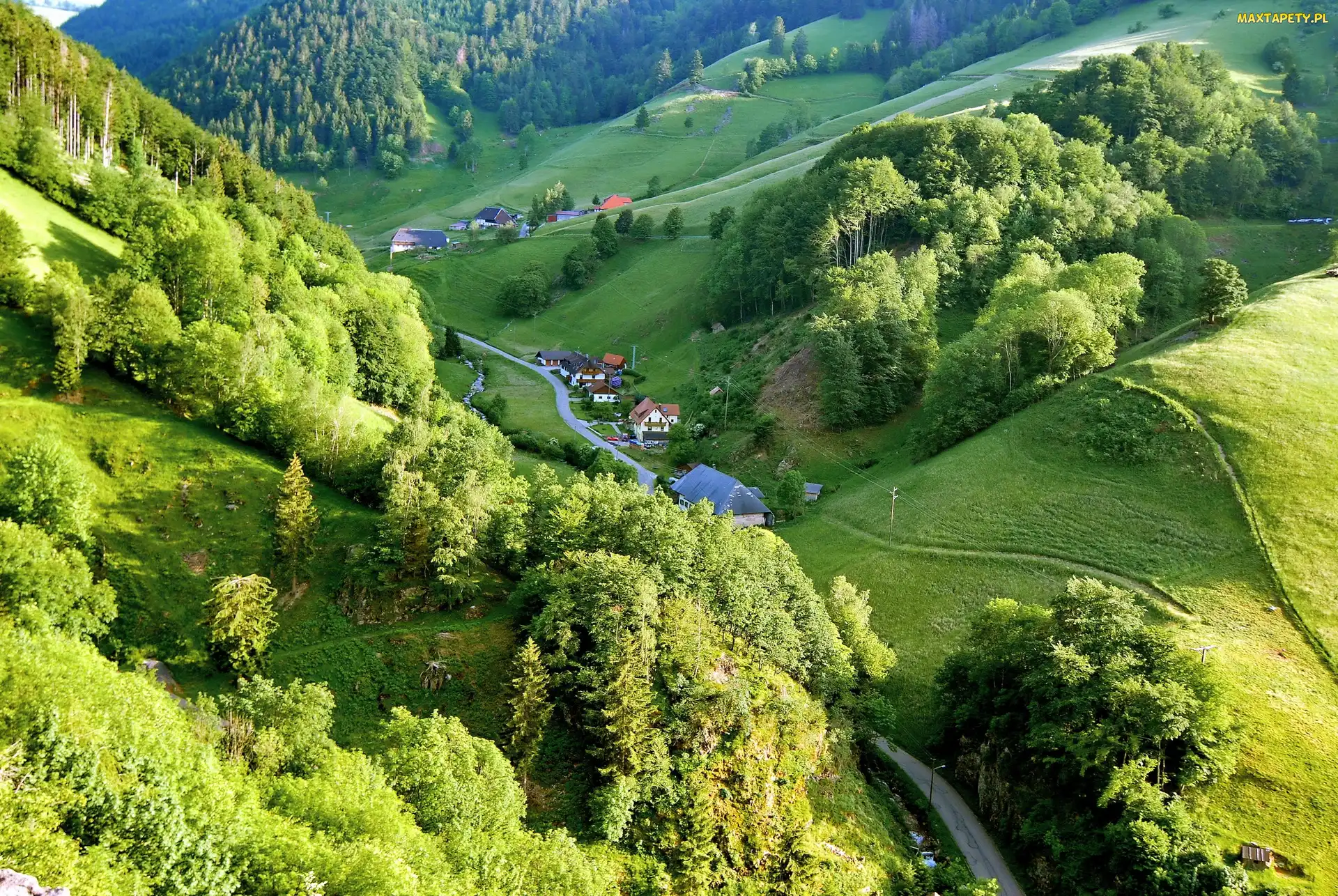 Droga, Wioska Schwarzwald, Góry, Doliny, Drzewa