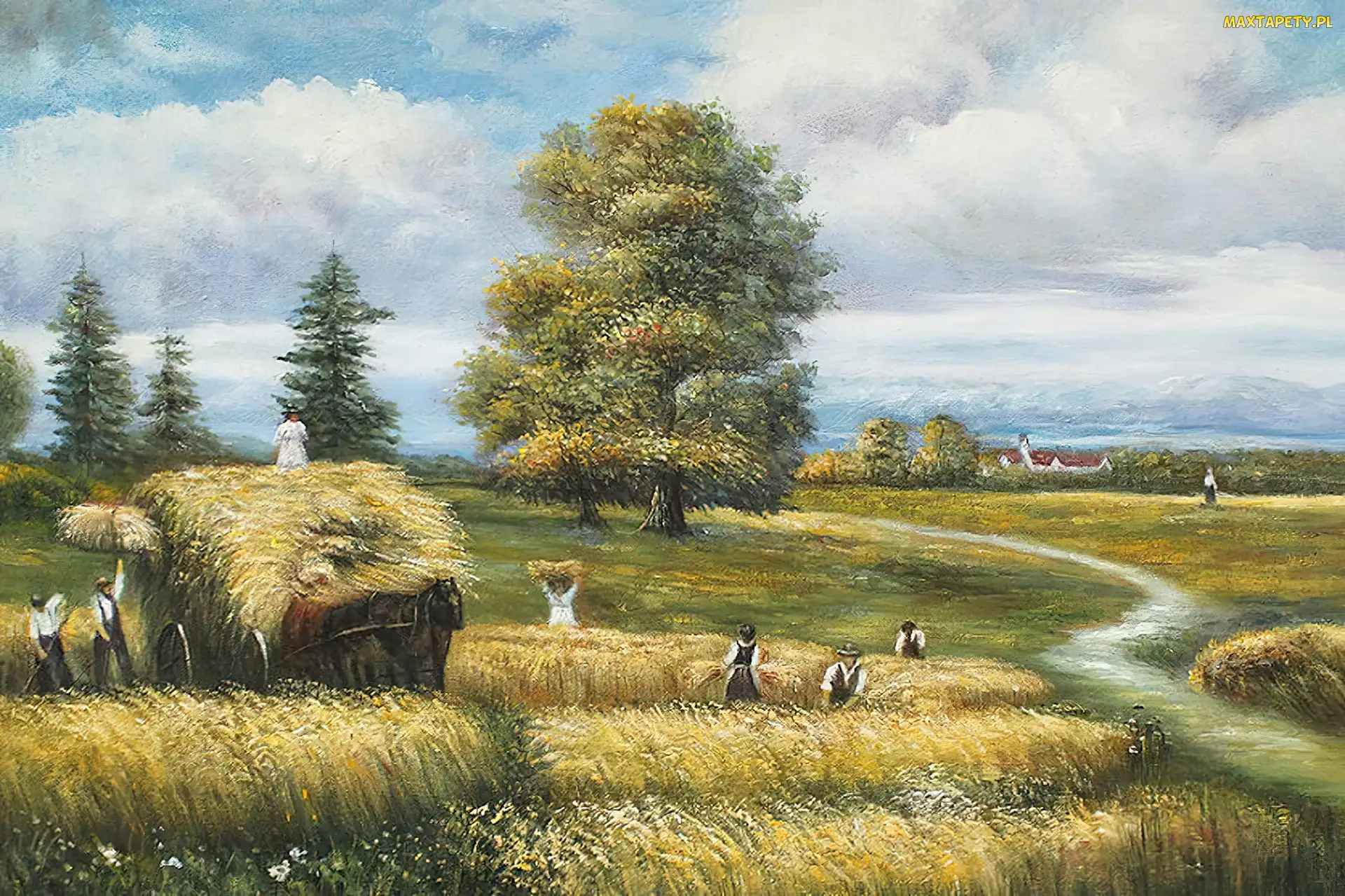Żniwa, Wieś, Obraz