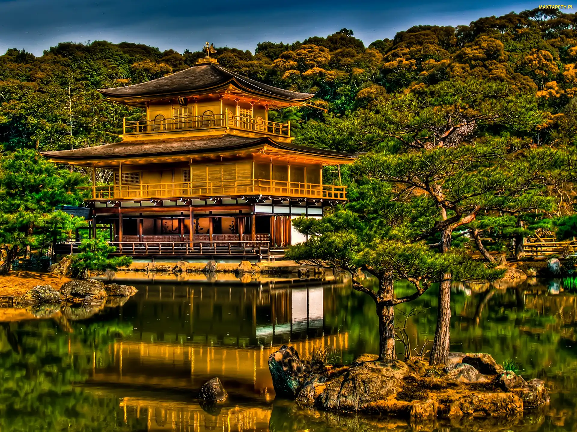 Drzewa, Japonia, Jezioro