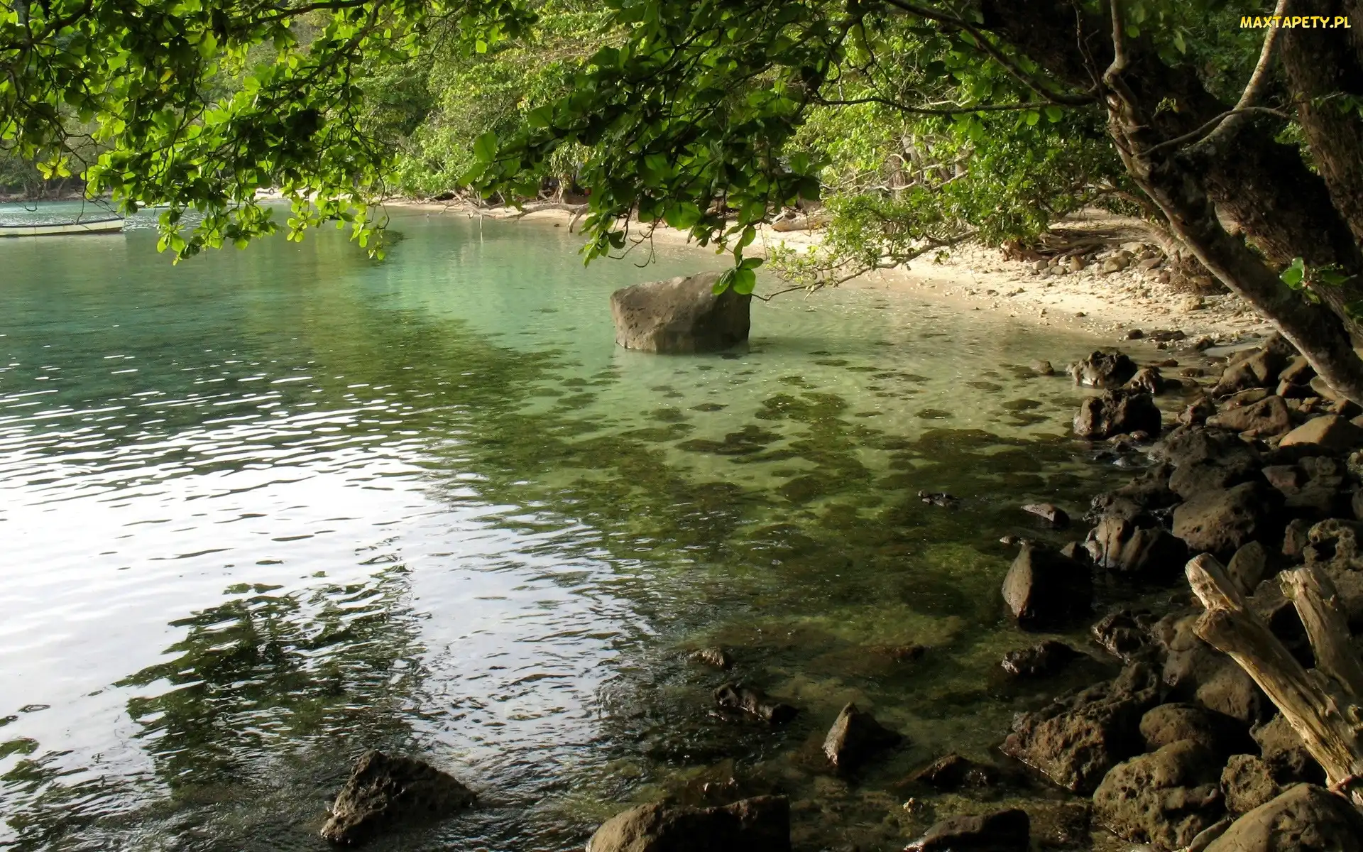 Kamienie, Drzewa, Jezioro