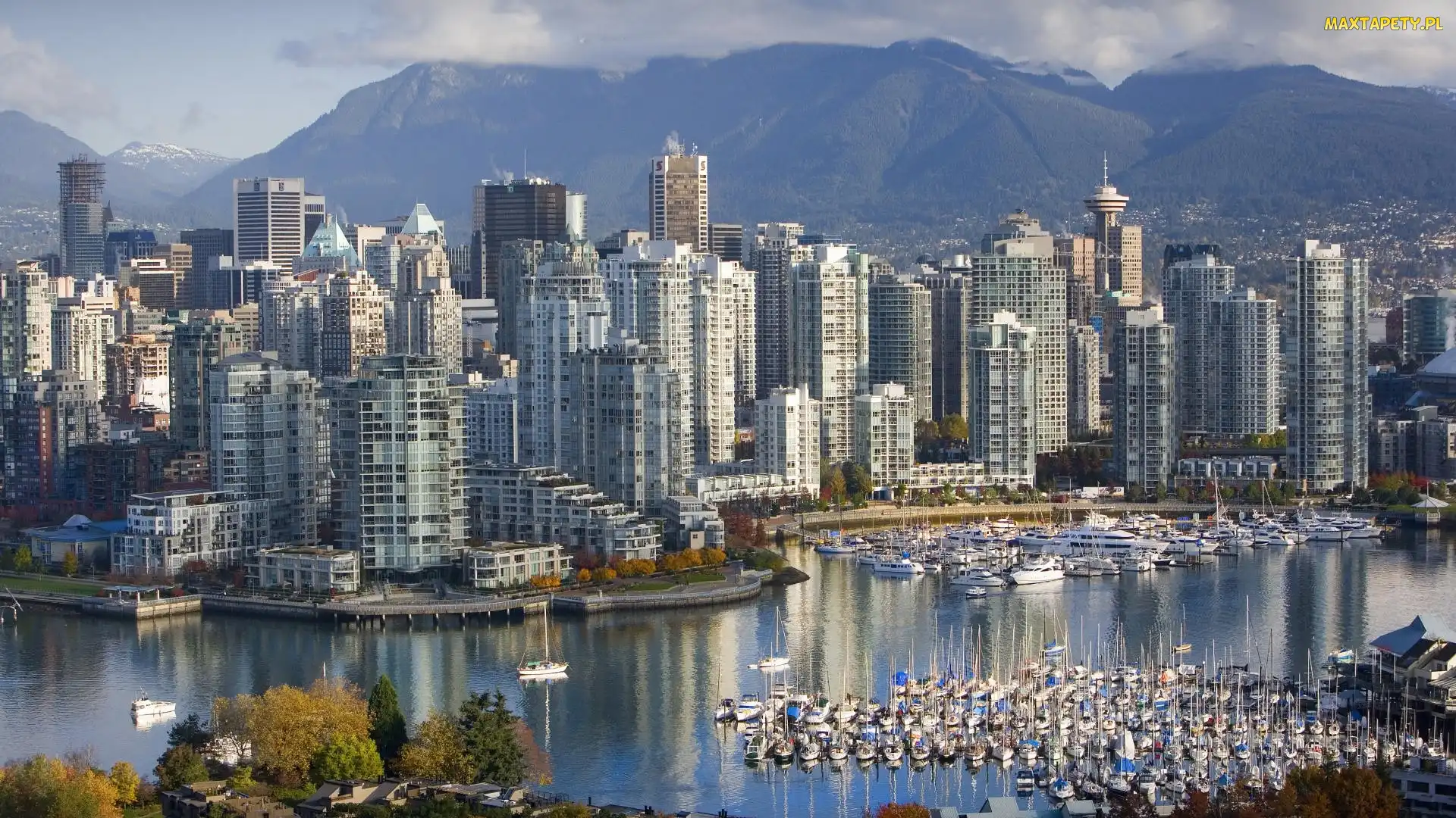 Miasta, Vancouver, Panorama
