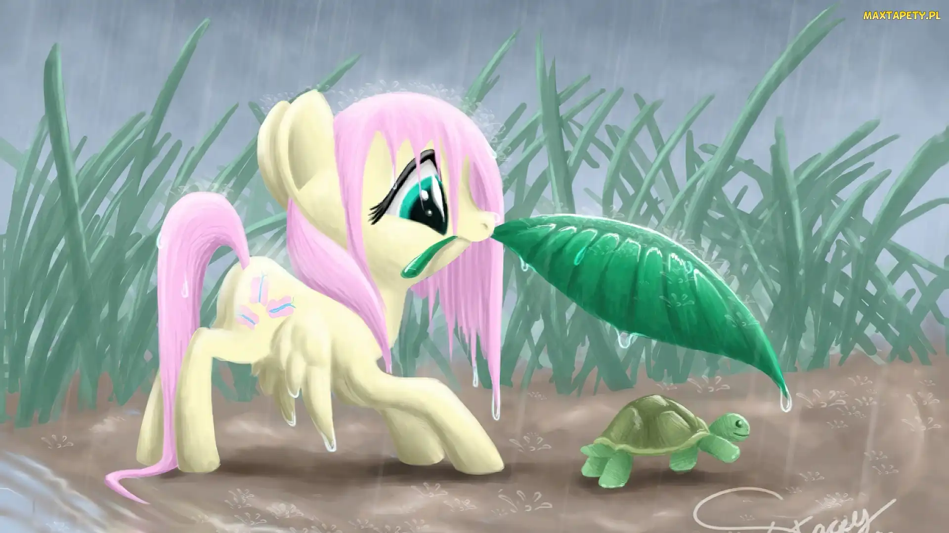 Przyjaźń To Magia, Fluttershy, My Little Pony