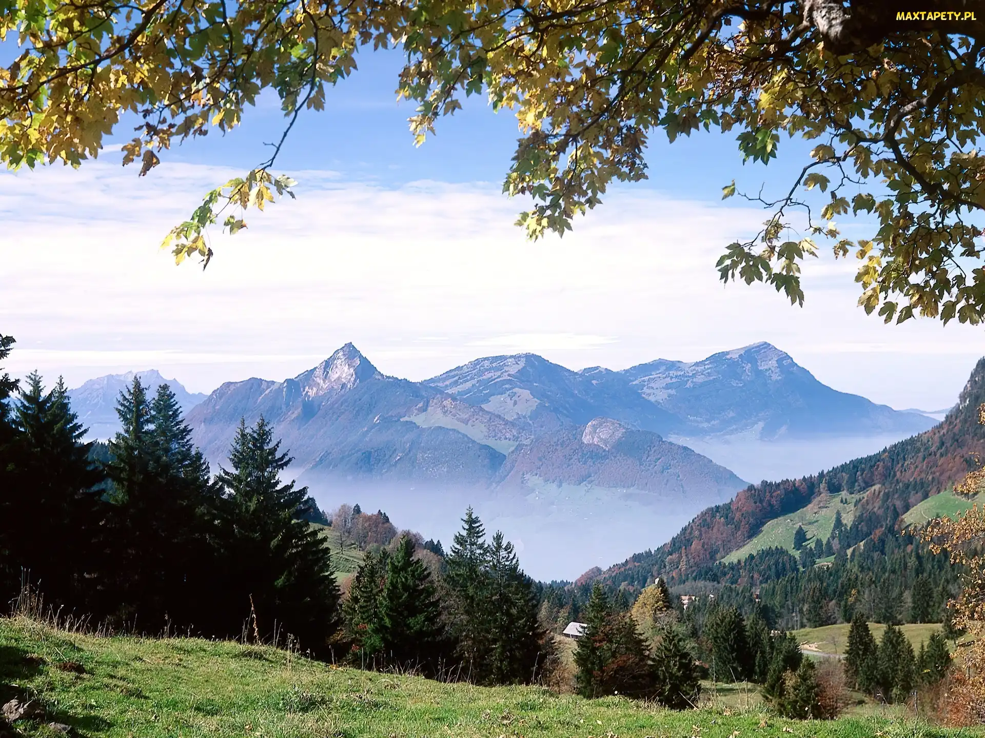 Ibergeregg, Trawa, Góry, Drzewa, Szwajcaria