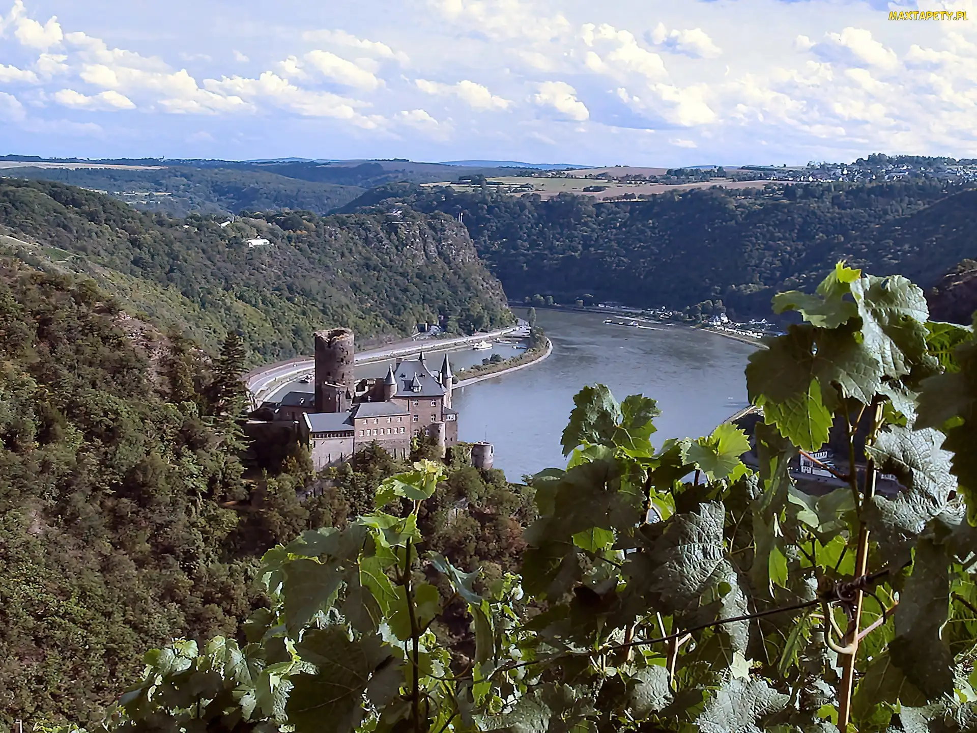 Góry, Woda, Mittelrhein Burg Katz, Drzewa