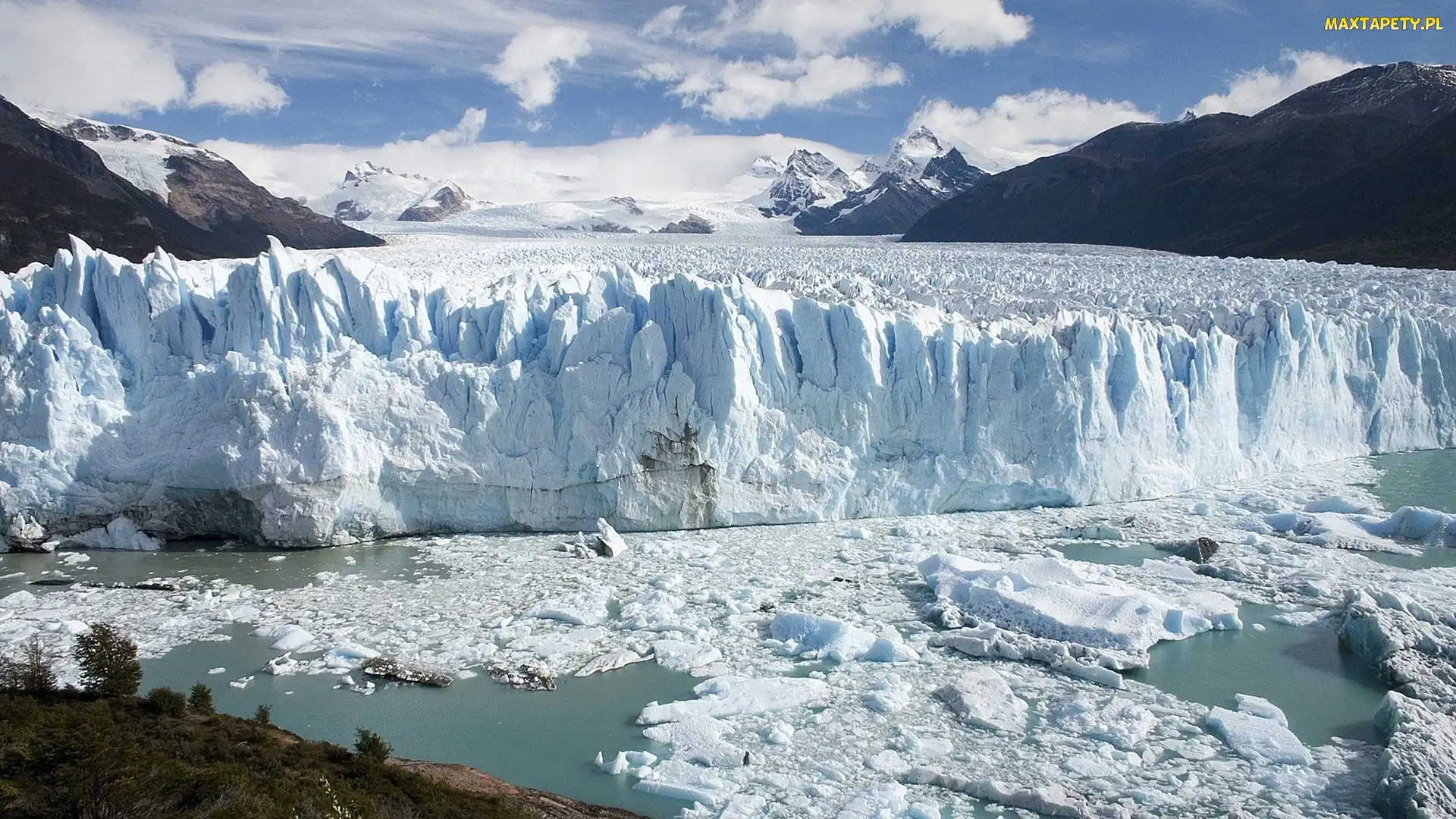 Park Narodowy Los Glaciares, Drzewa, Lodowiec, Argentyna, Perito Moreno, Góry