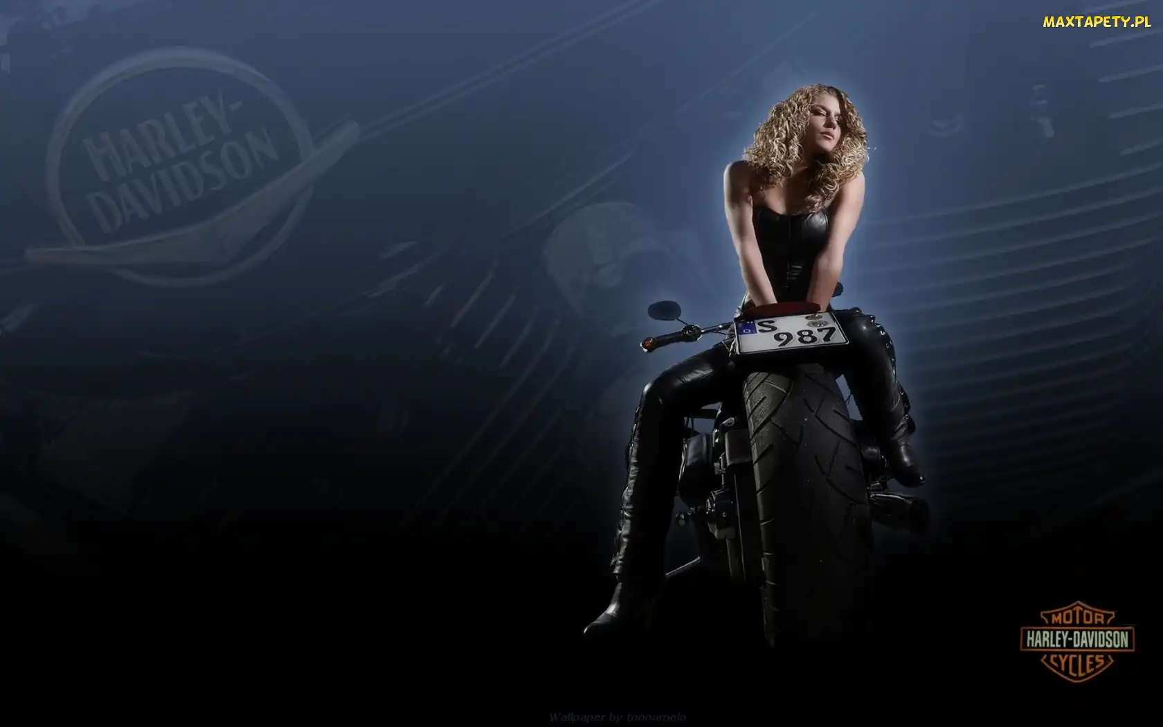 Blondynka, Piękna, Motor, Harley-Davidson