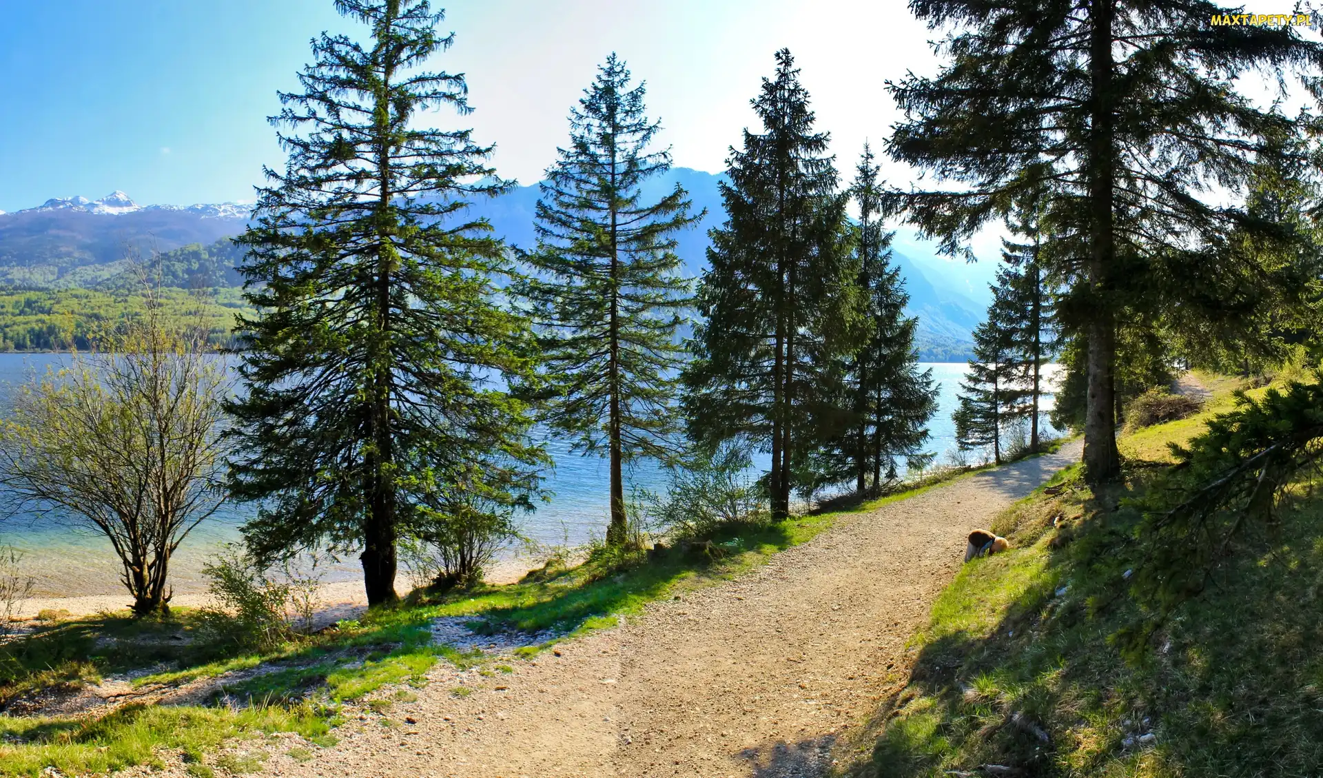 Ścieżka, Rzeką, Górską, Nad