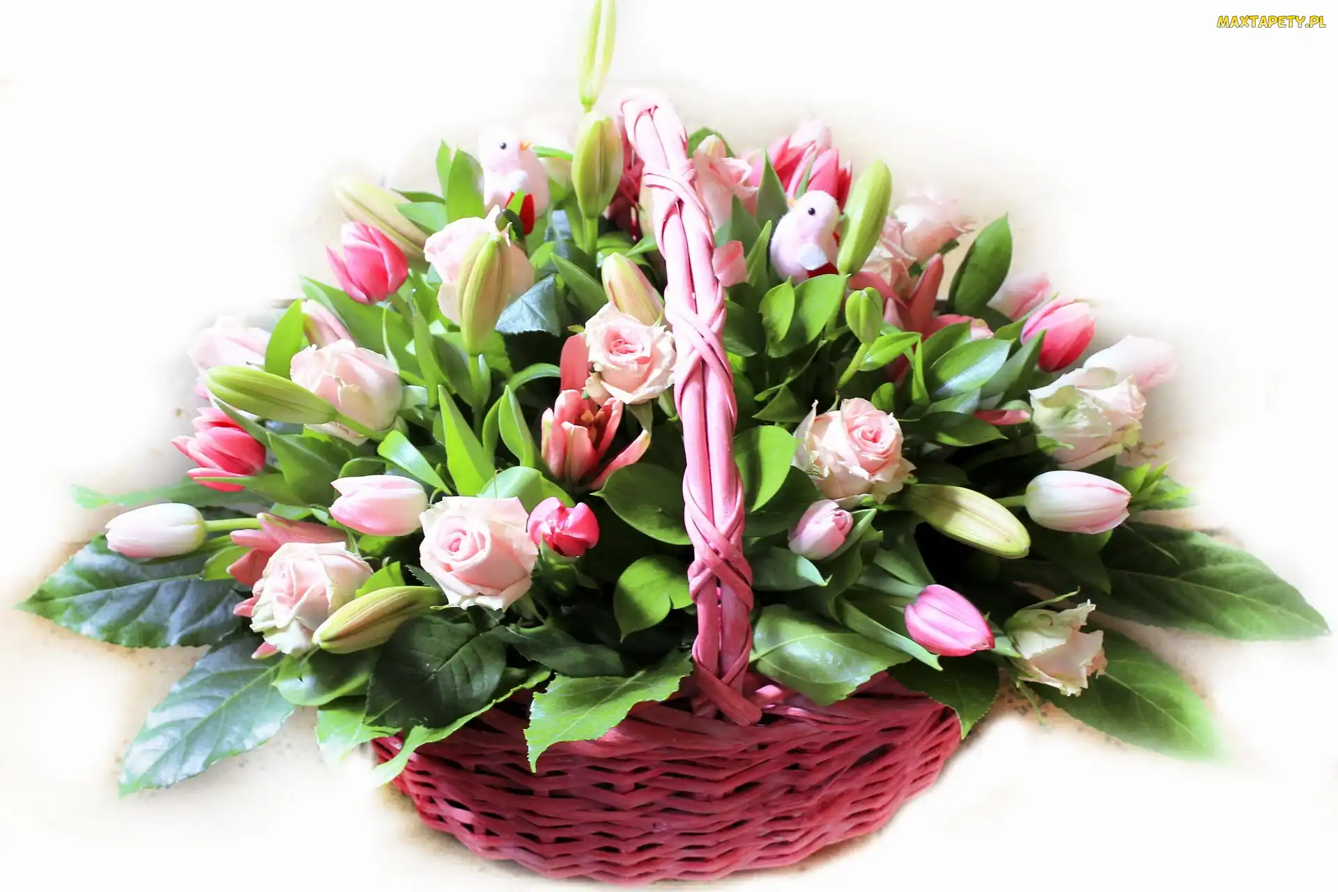 Tulipany, Róże, Koszyk