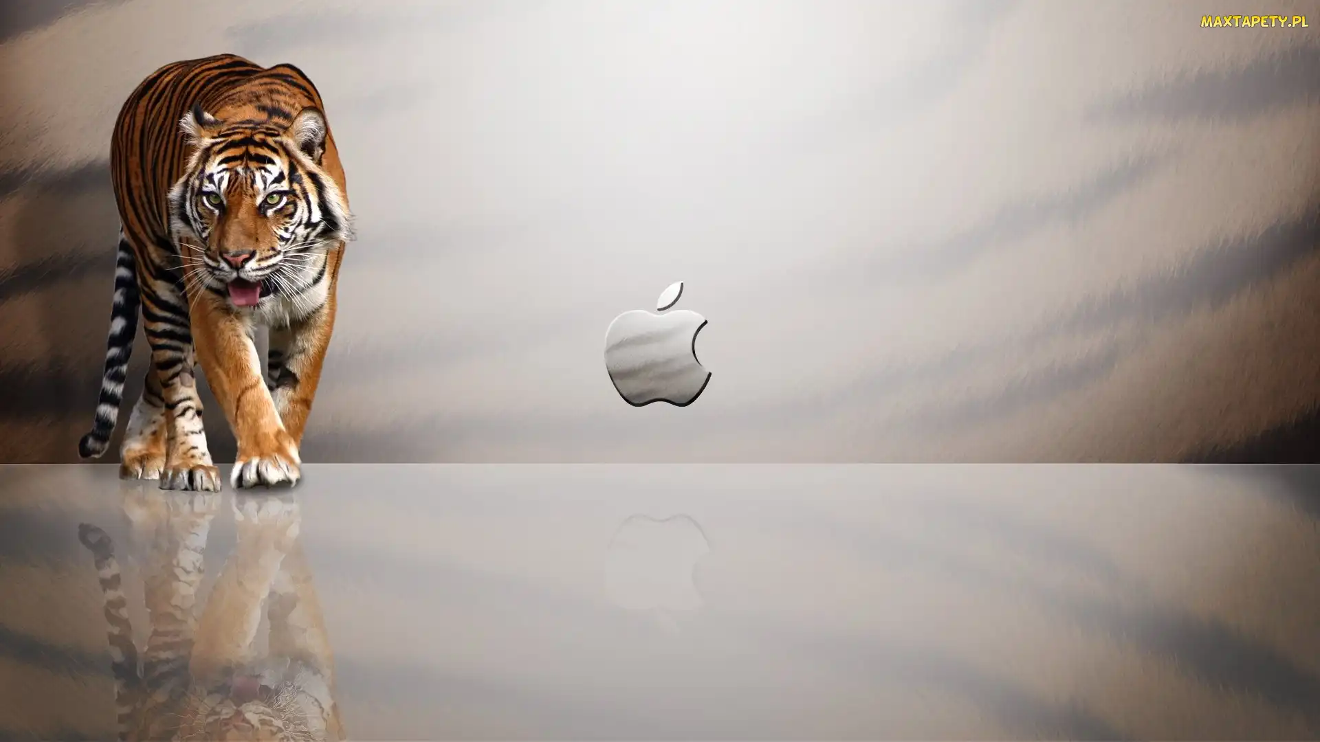 Tygrys, Apple, Logo