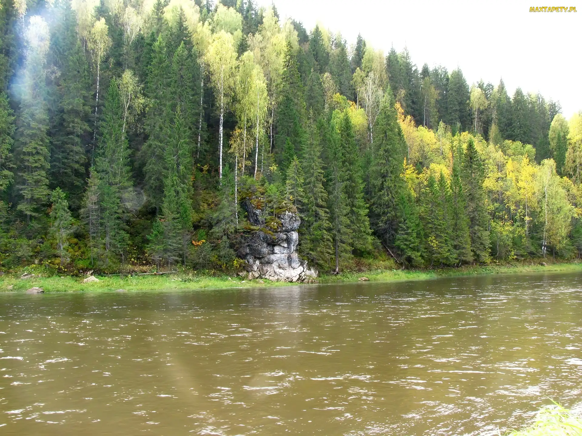 Skały, Las, Rzeka, Góry