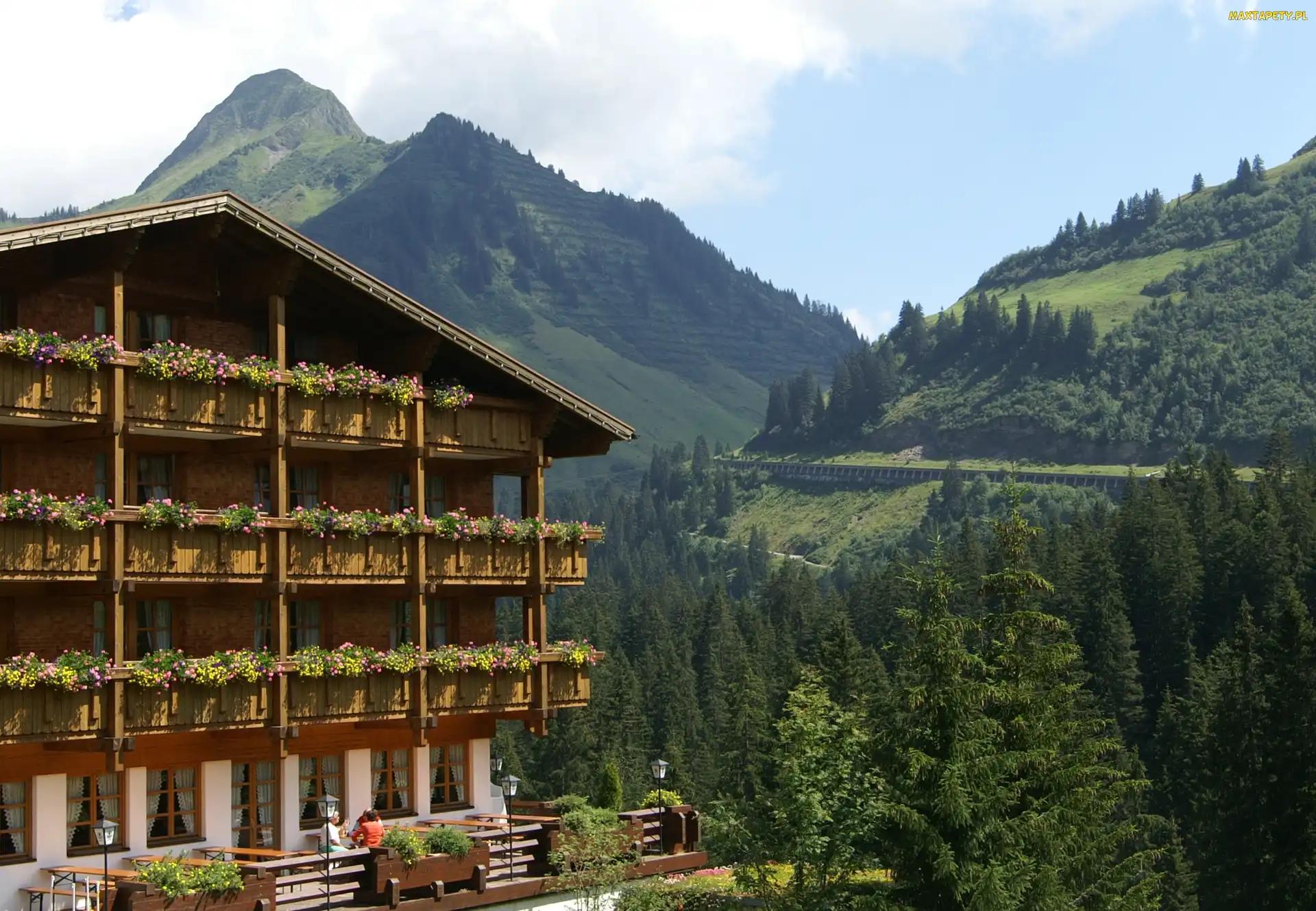 Drzewa, Góry, Damuls, Hotel, Madlener, Austria