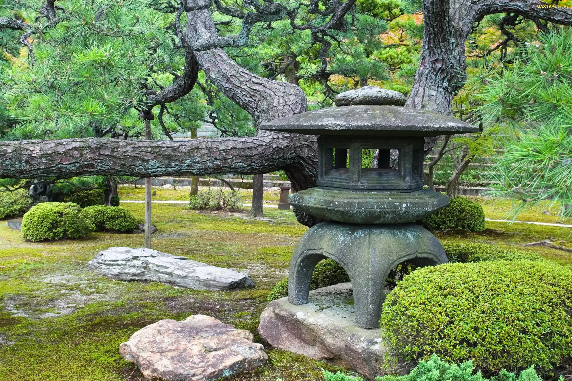 Japonia, Park, Drzewa, Kamienie
