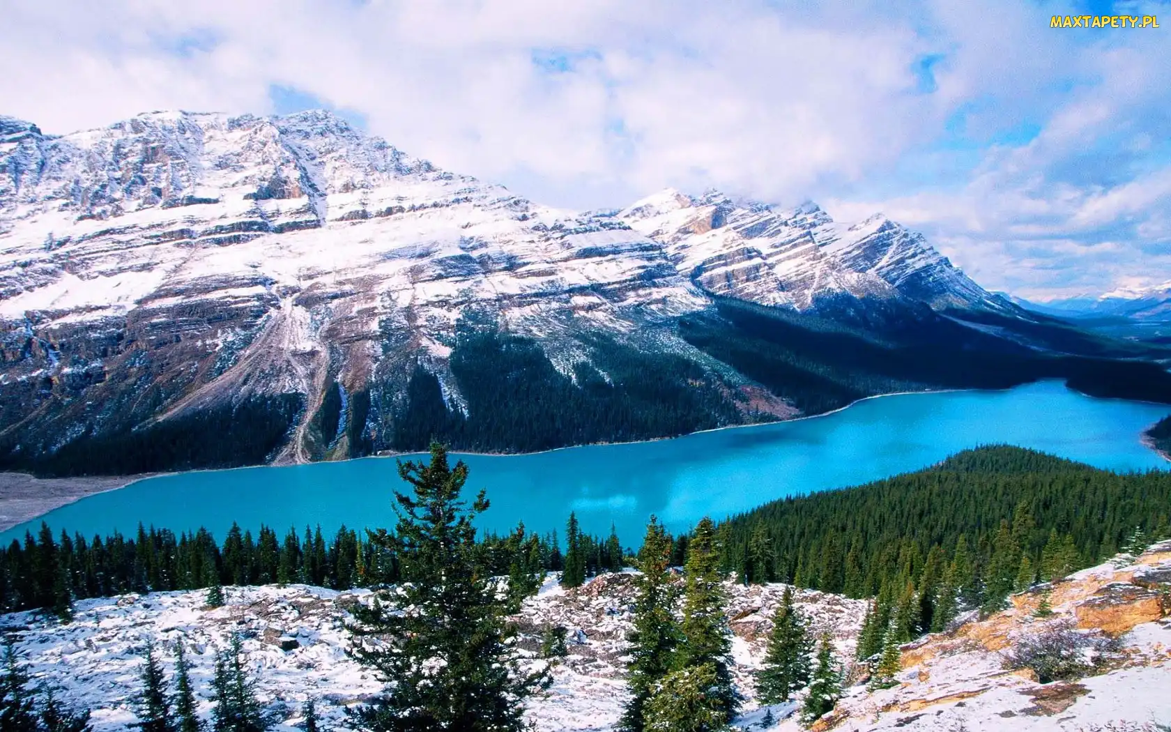 Góry, Prowincja Alberta, Śnieg, Kanada, Park Narodowy Banff, Drzewa, Jezioro, Peyto Lake, Opadająca