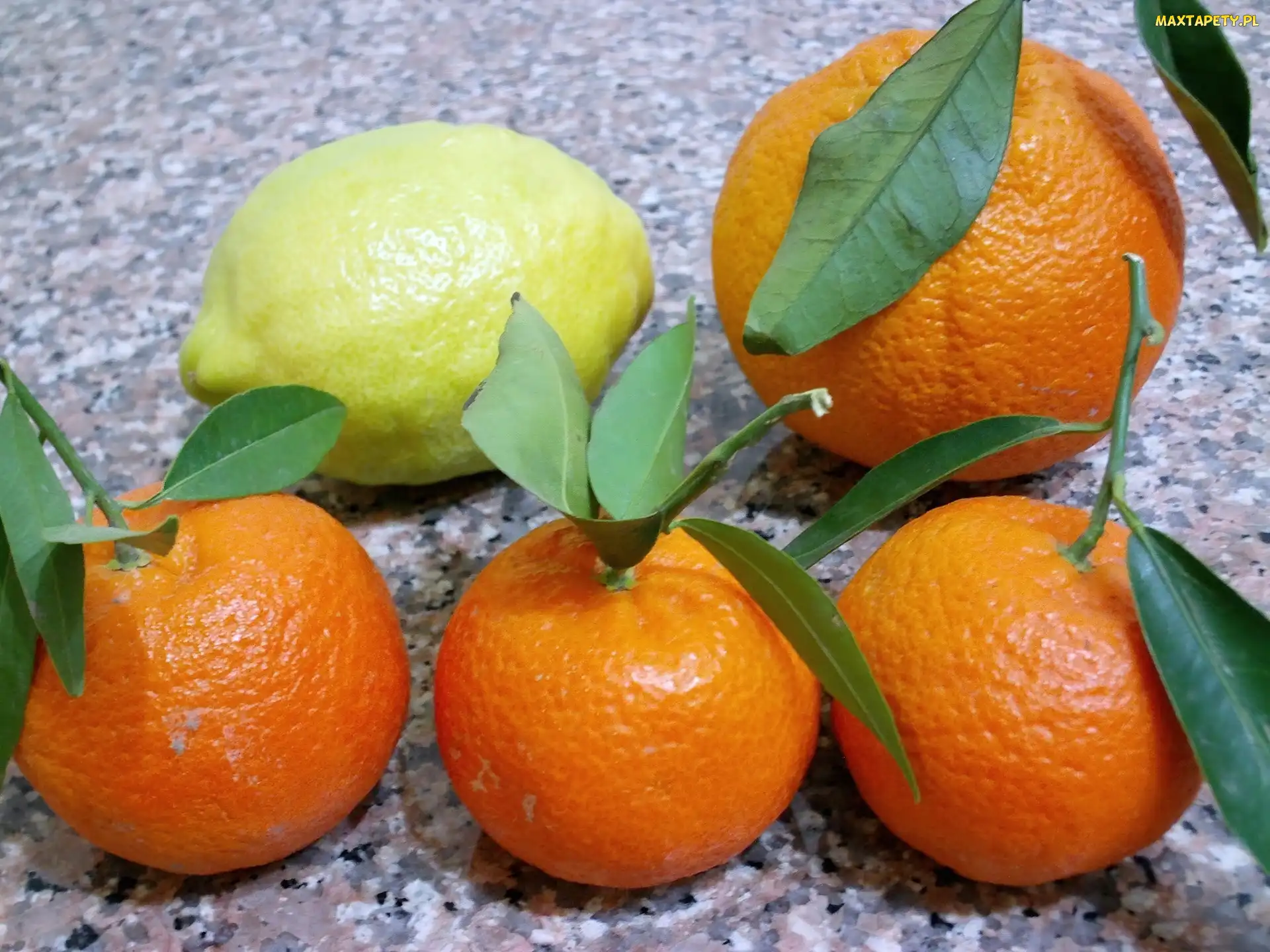 Pomarańcze, Cytryna, Owoce, Cytrusowe